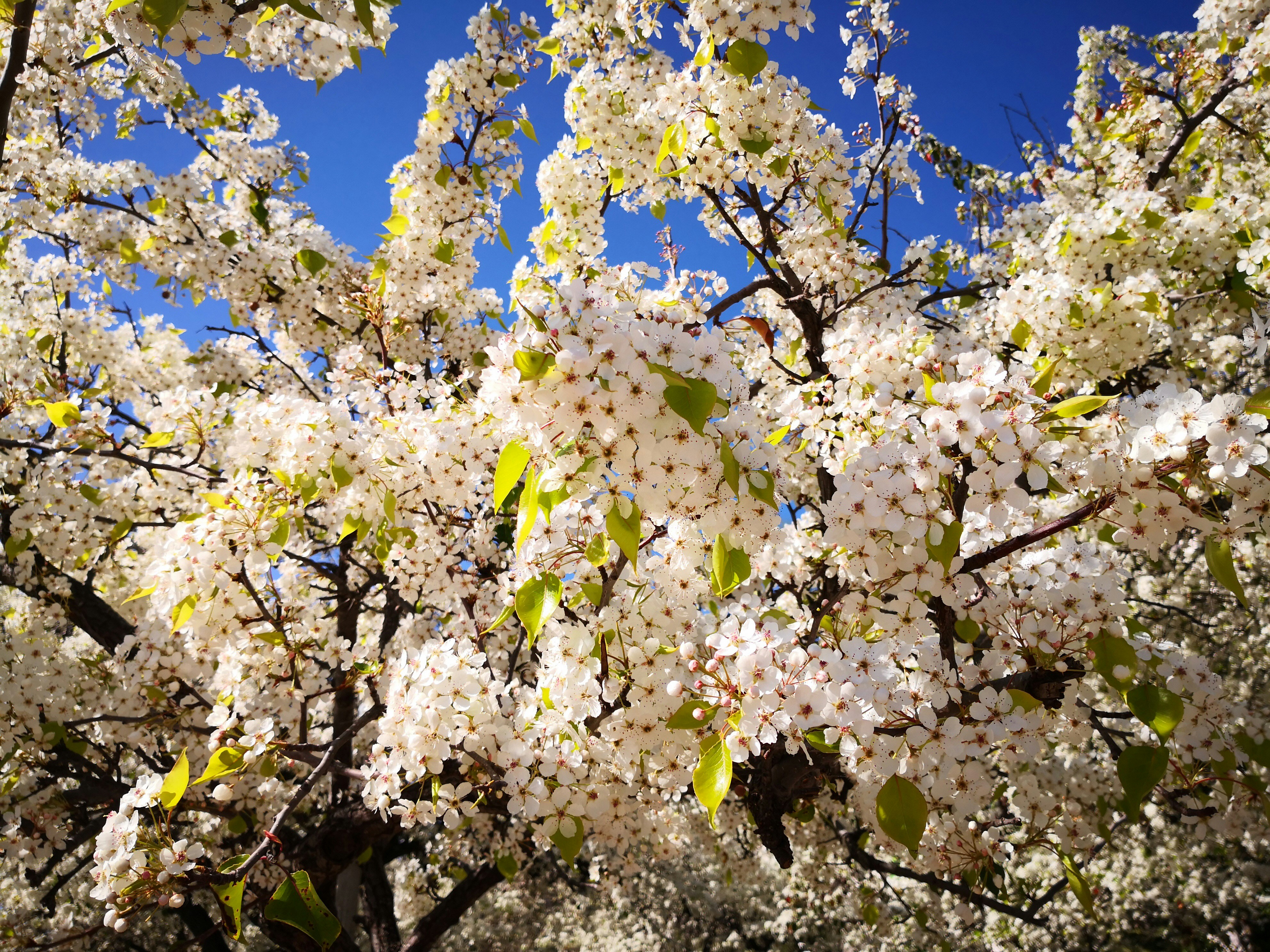 Photo by andrewshumaker