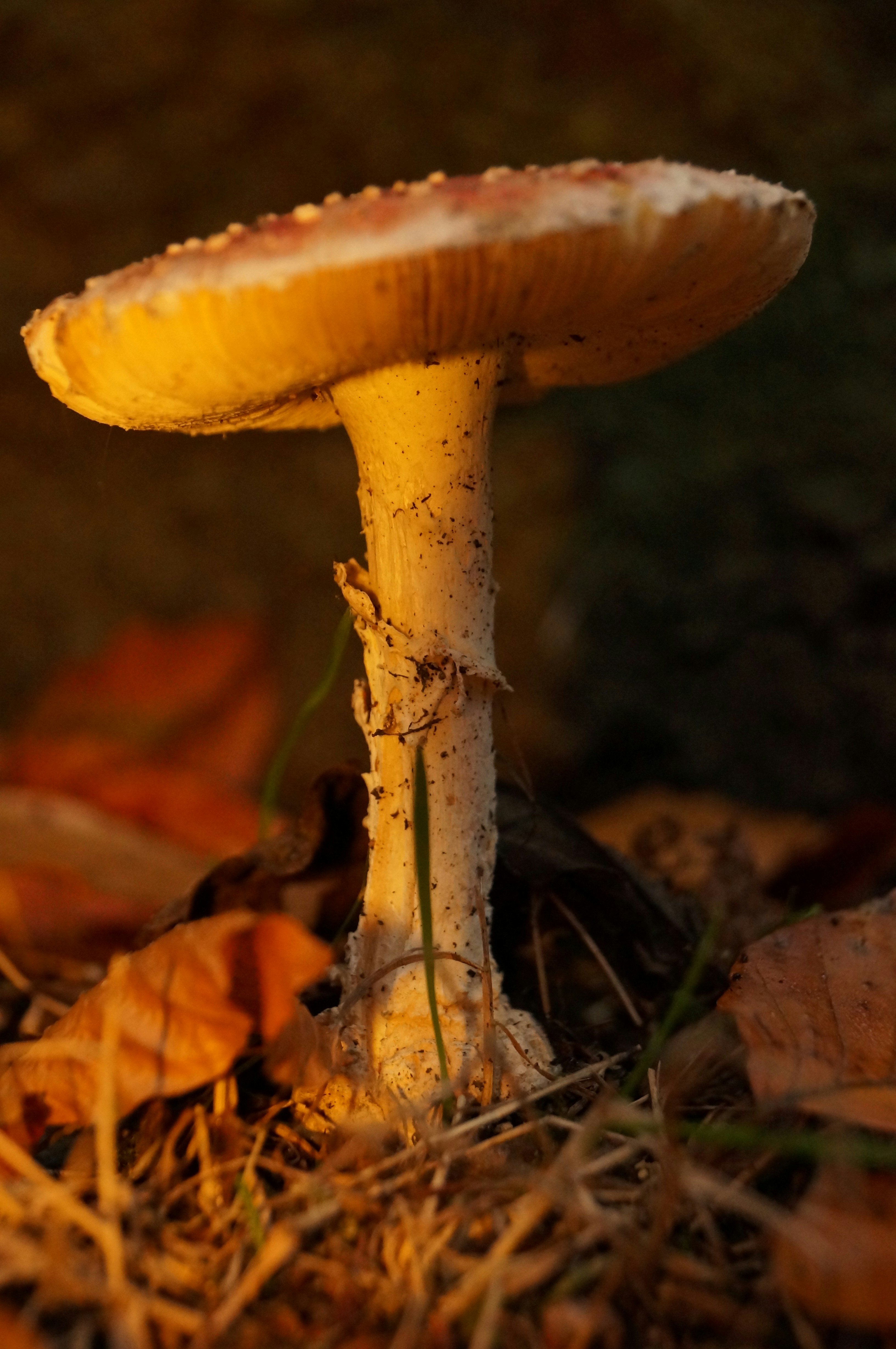 Photo by marlomaurer