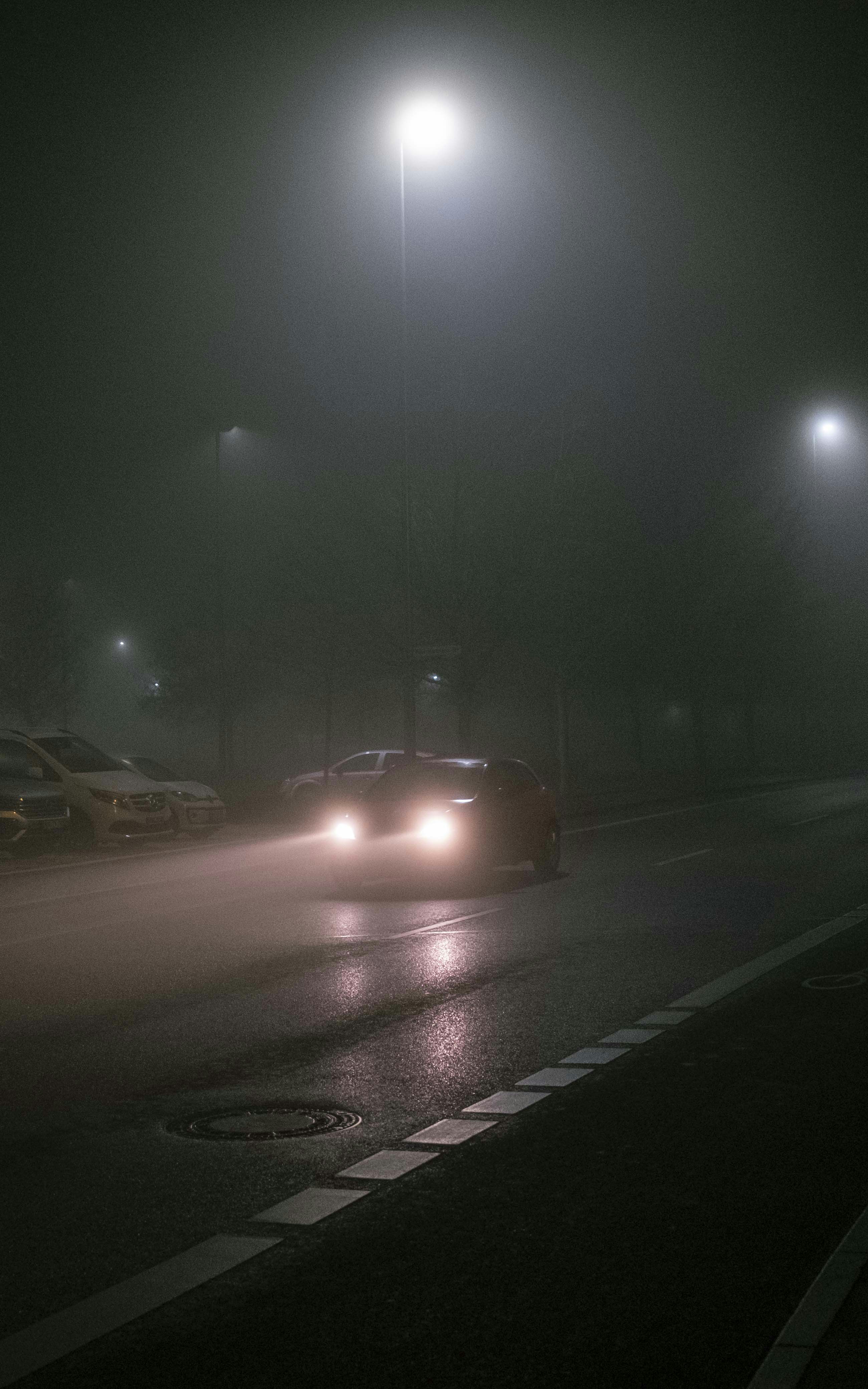 Photo by robin___the___bird