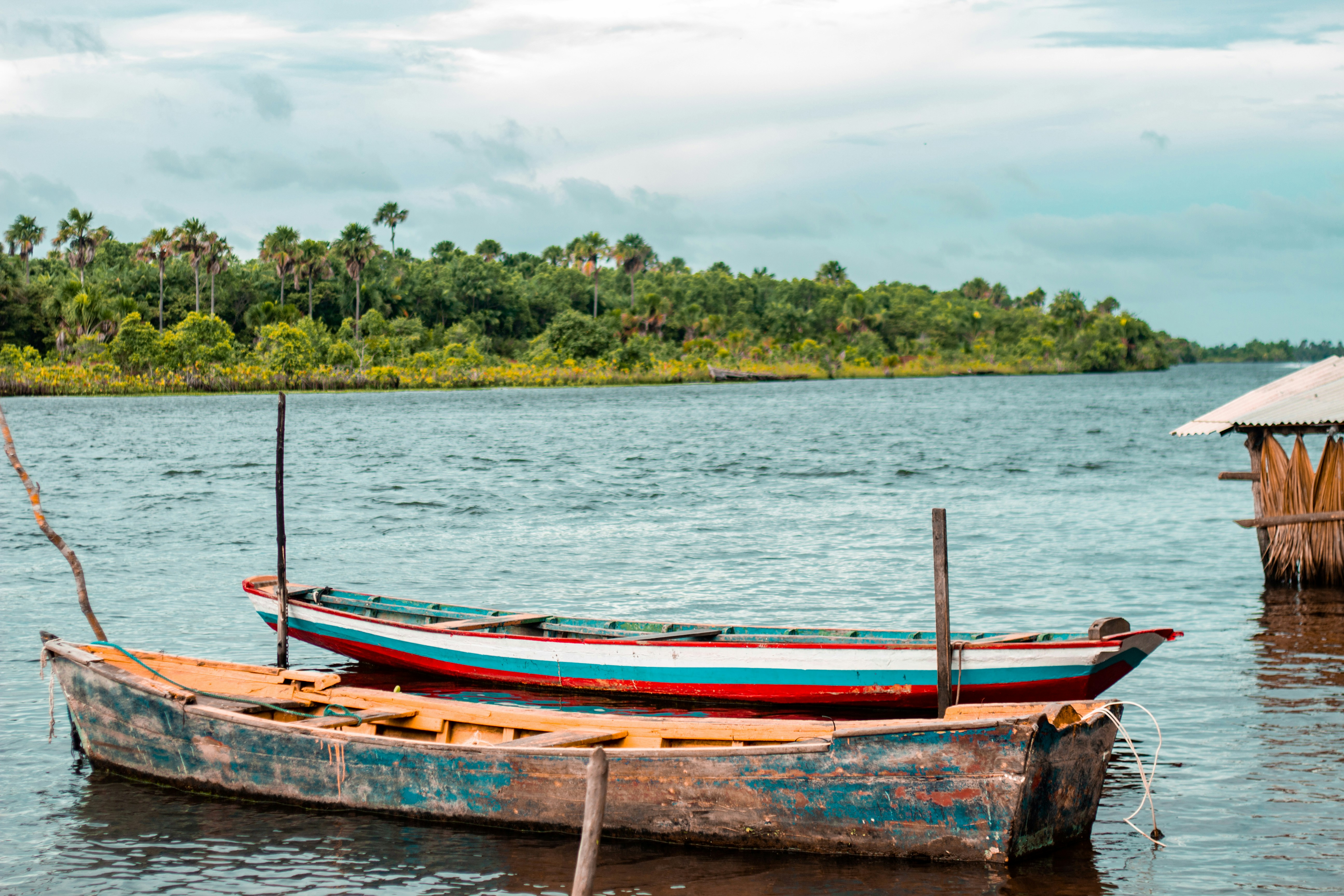 Photo by gustavosouz