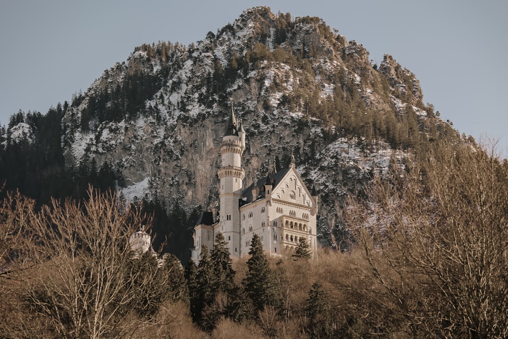 a castle on top of a mountain surrounded by trees
