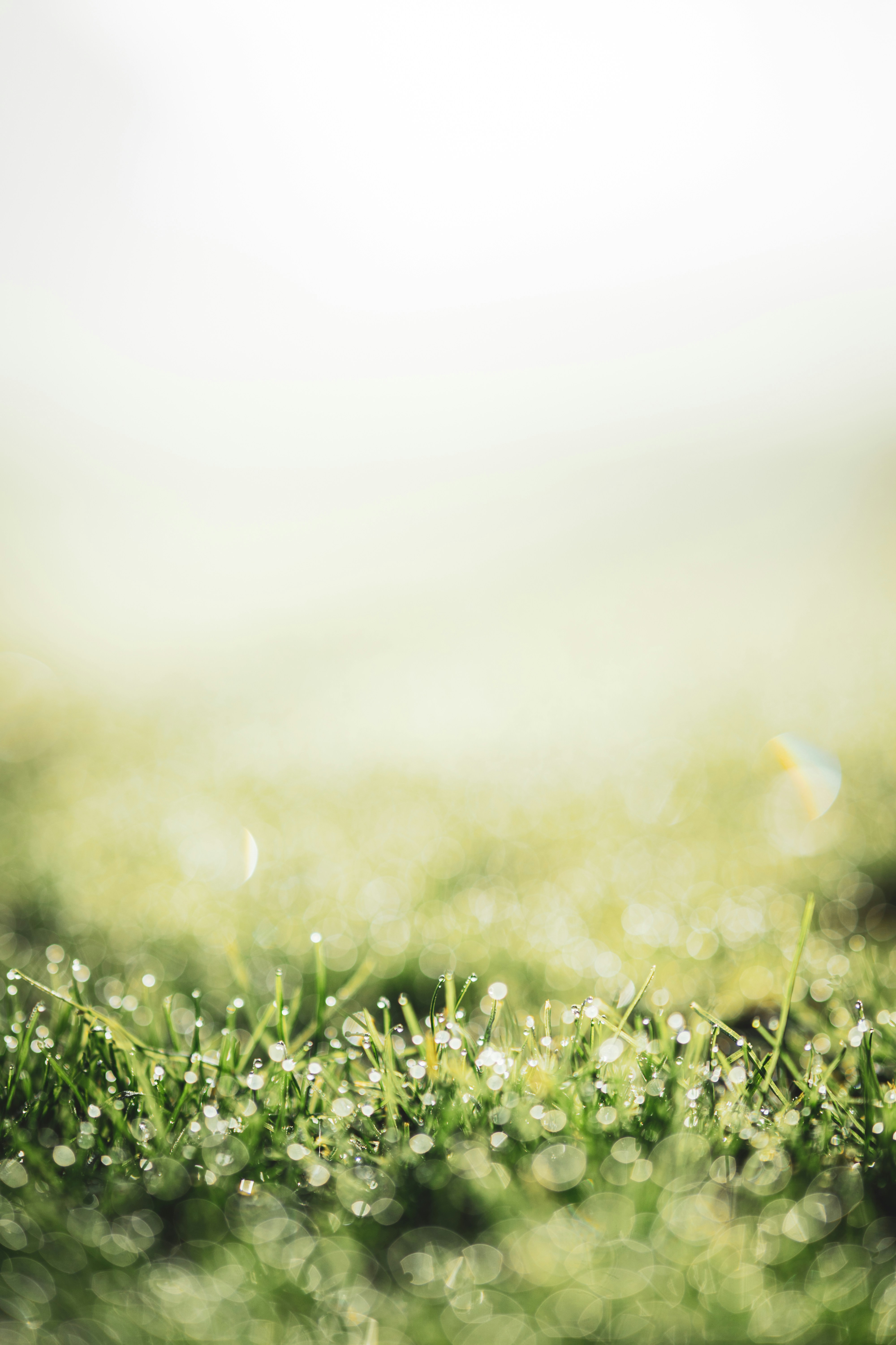 Photo by dermanuskript