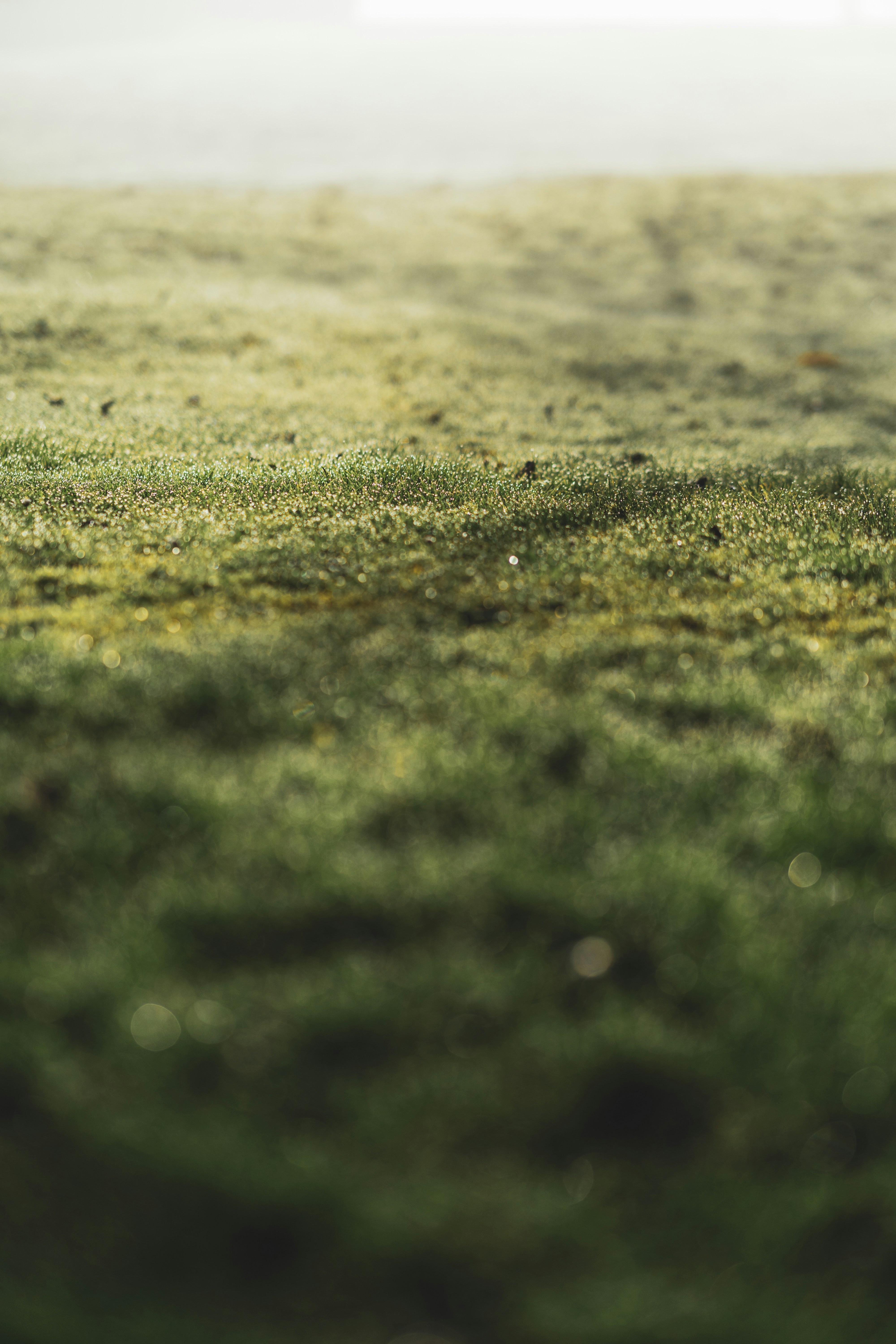 Photo by dermanuskript