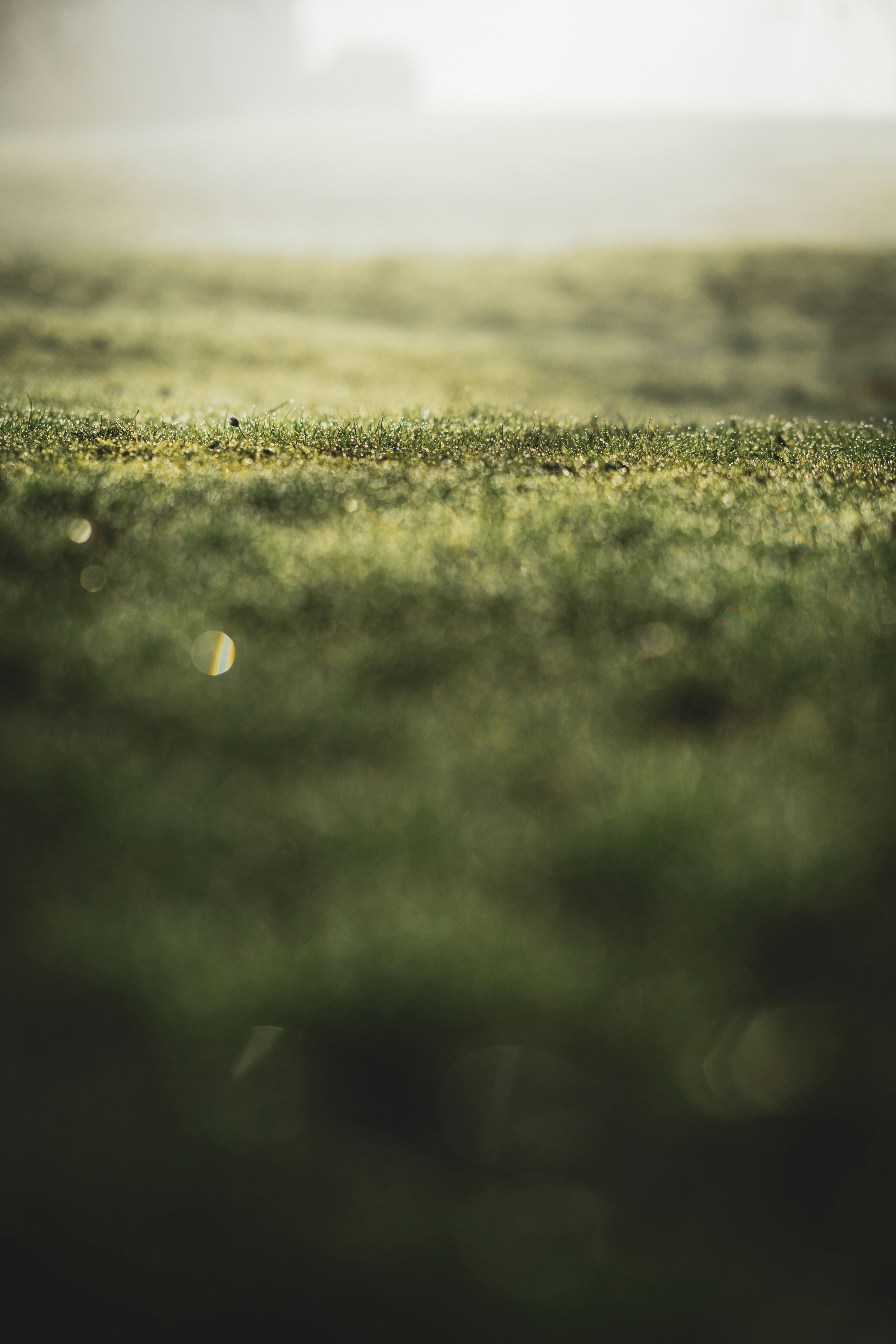 Photo by dermanuskript