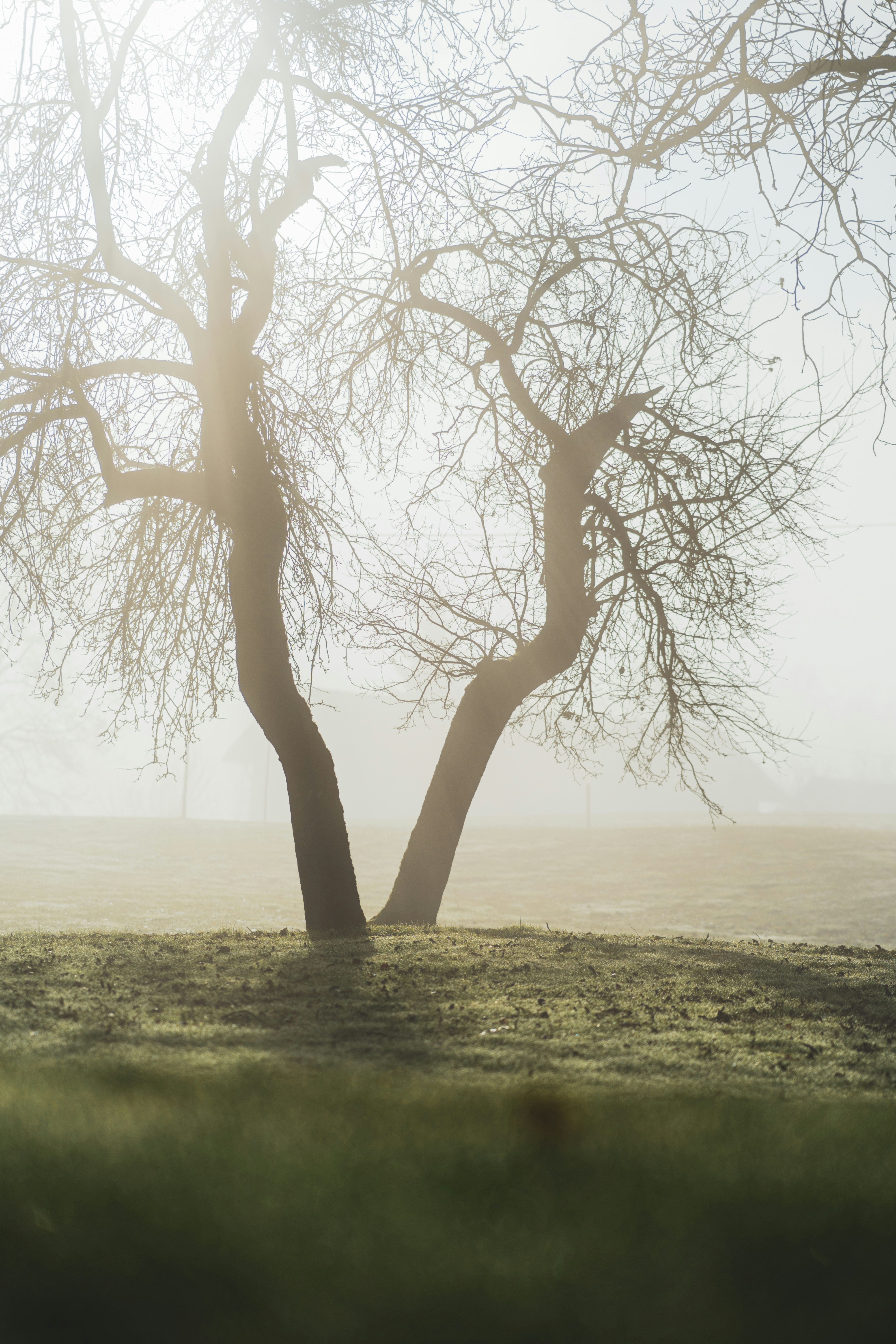 Photo by dermanuskript