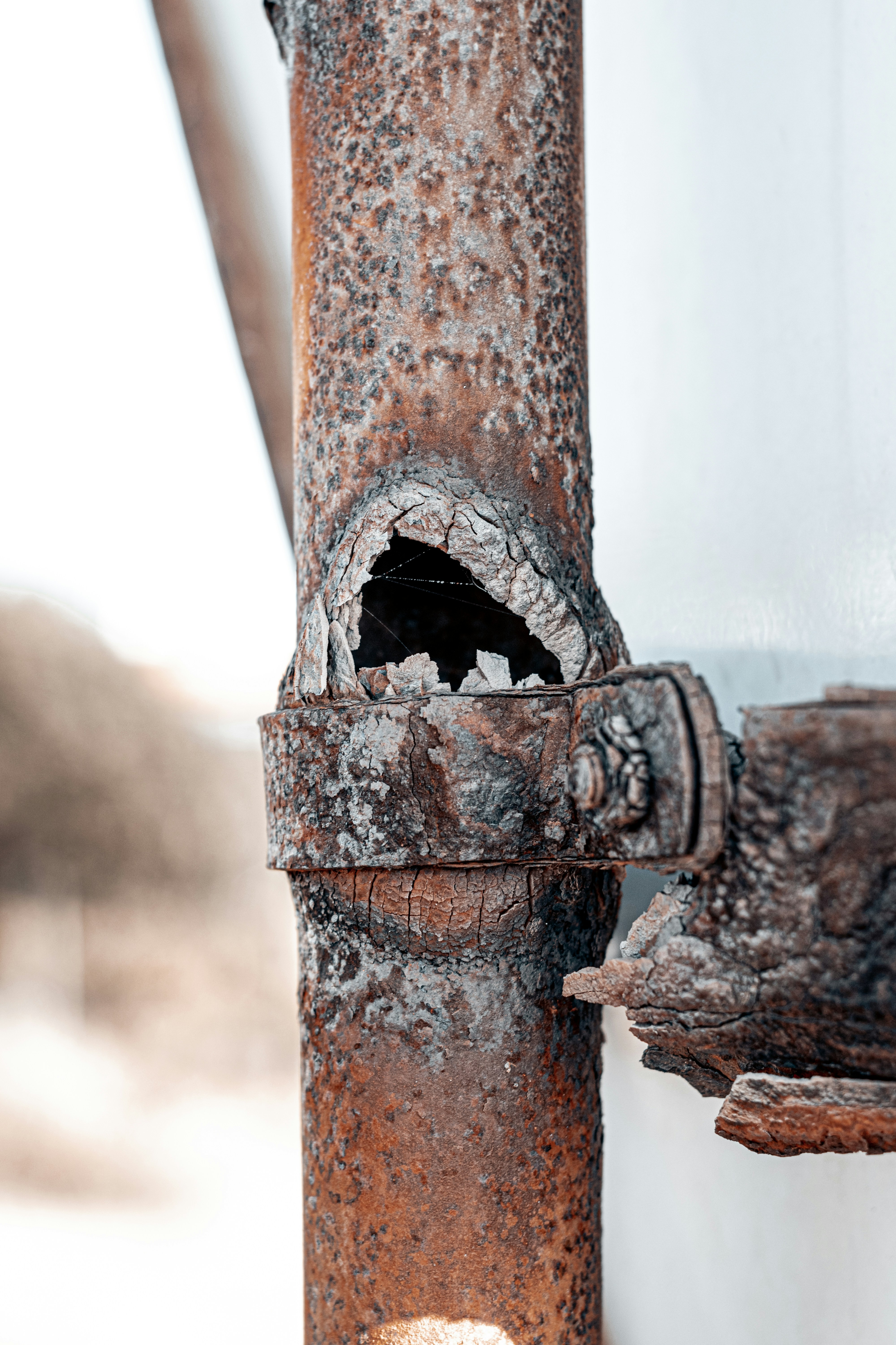 Photo by vadym_alyekseyenko