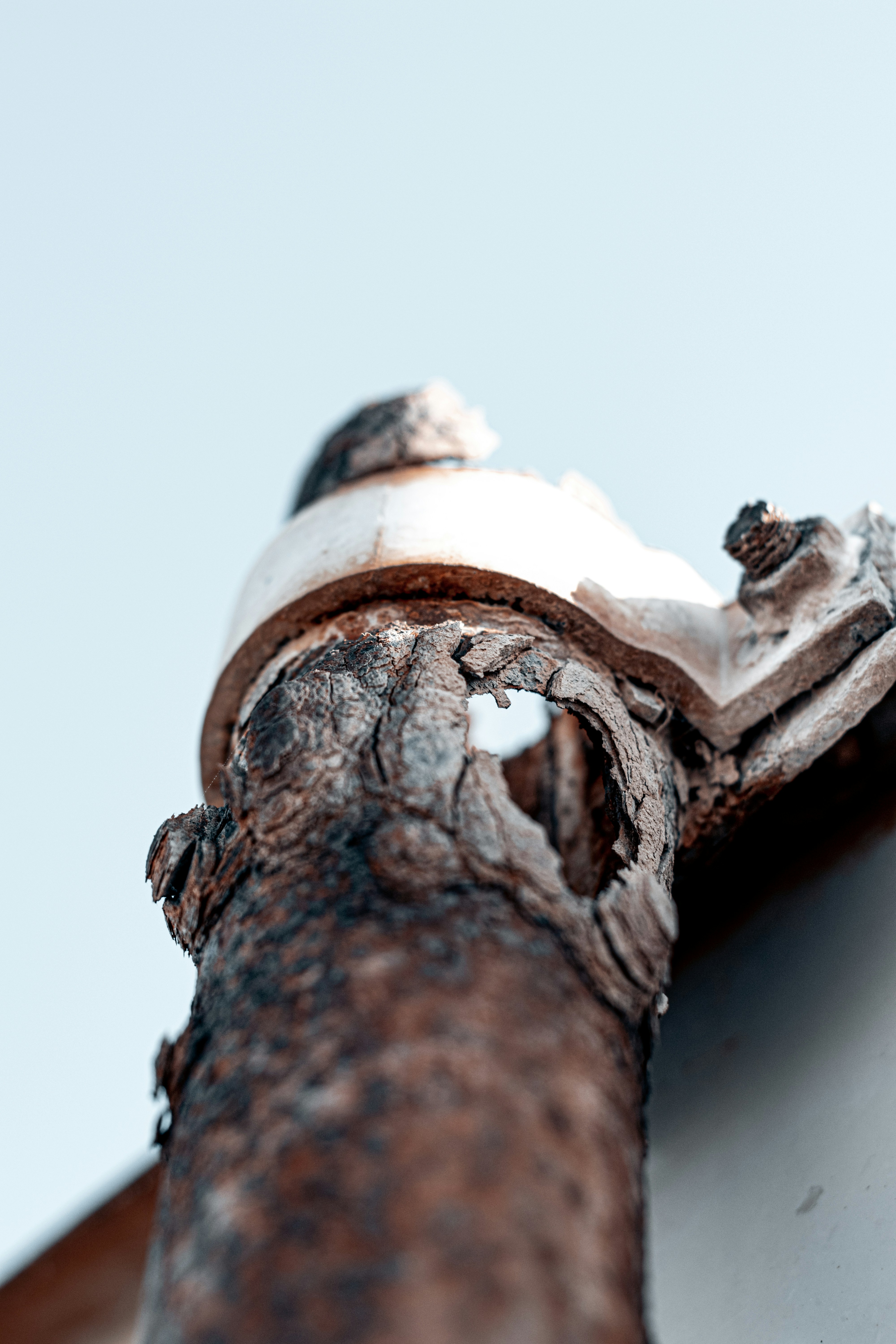 Photo by vadym_alyekseyenko