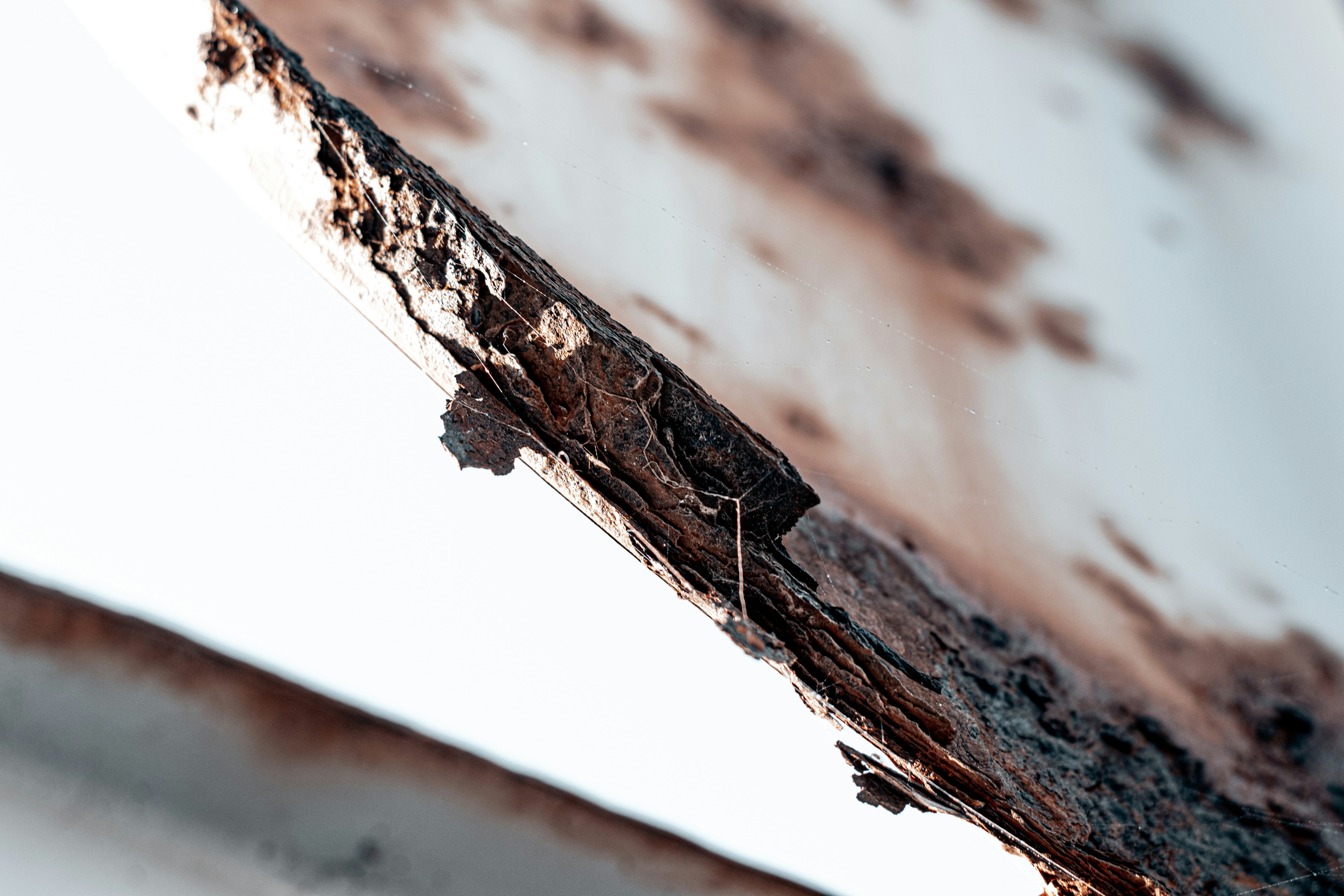 Photo by vadym_alyekseyenko