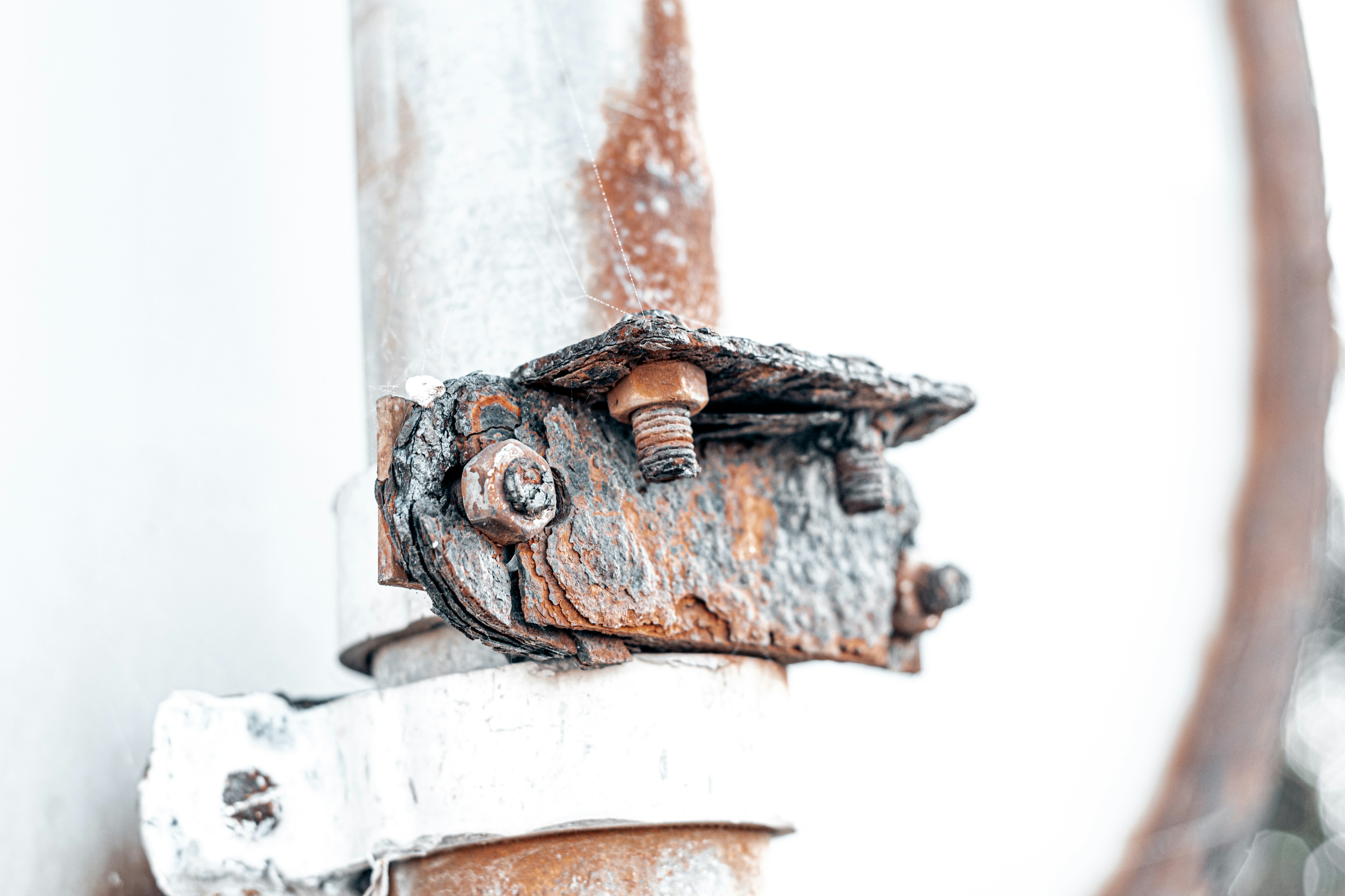 Photo by vadym_alyekseyenko