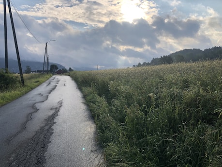 A cracked, worn-out road with deep tire marks from heavy electric vehicles under a cloudy sky.