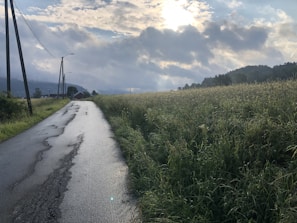 A cracked and potholed rural road stretching through Clinton County farmland.