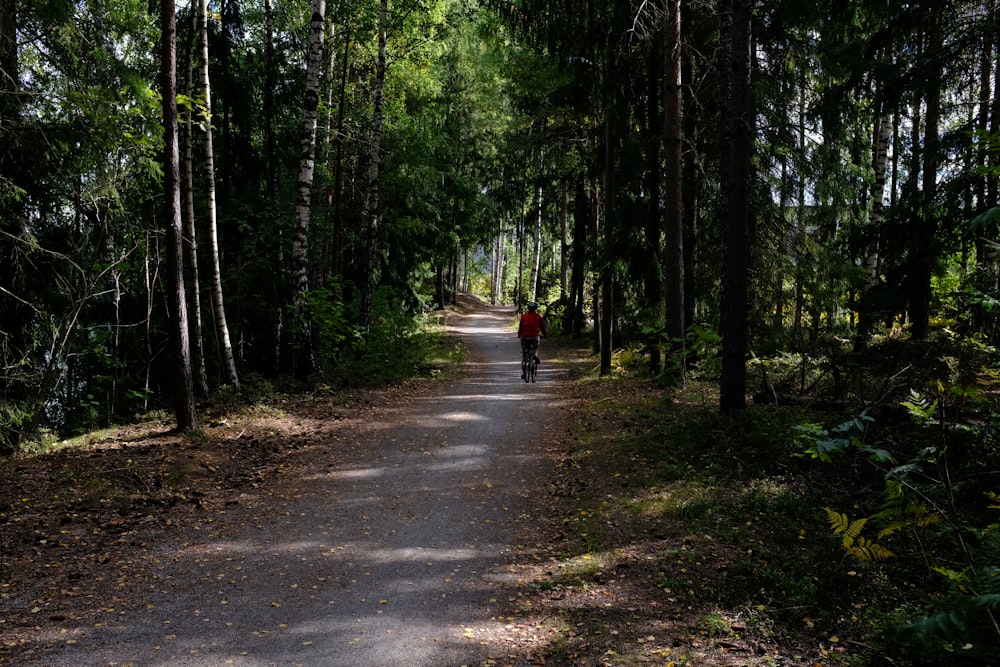 a person riding a bike on a path in the woods