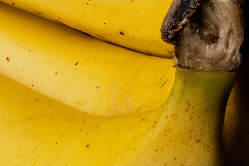 a close up of a bunch of bananas