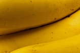 Close-up of ripe bananas with dewdrops on their yellow skin.