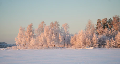a snow covered field with trees in the background