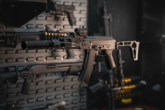 a rifle mounted to a wall in a room