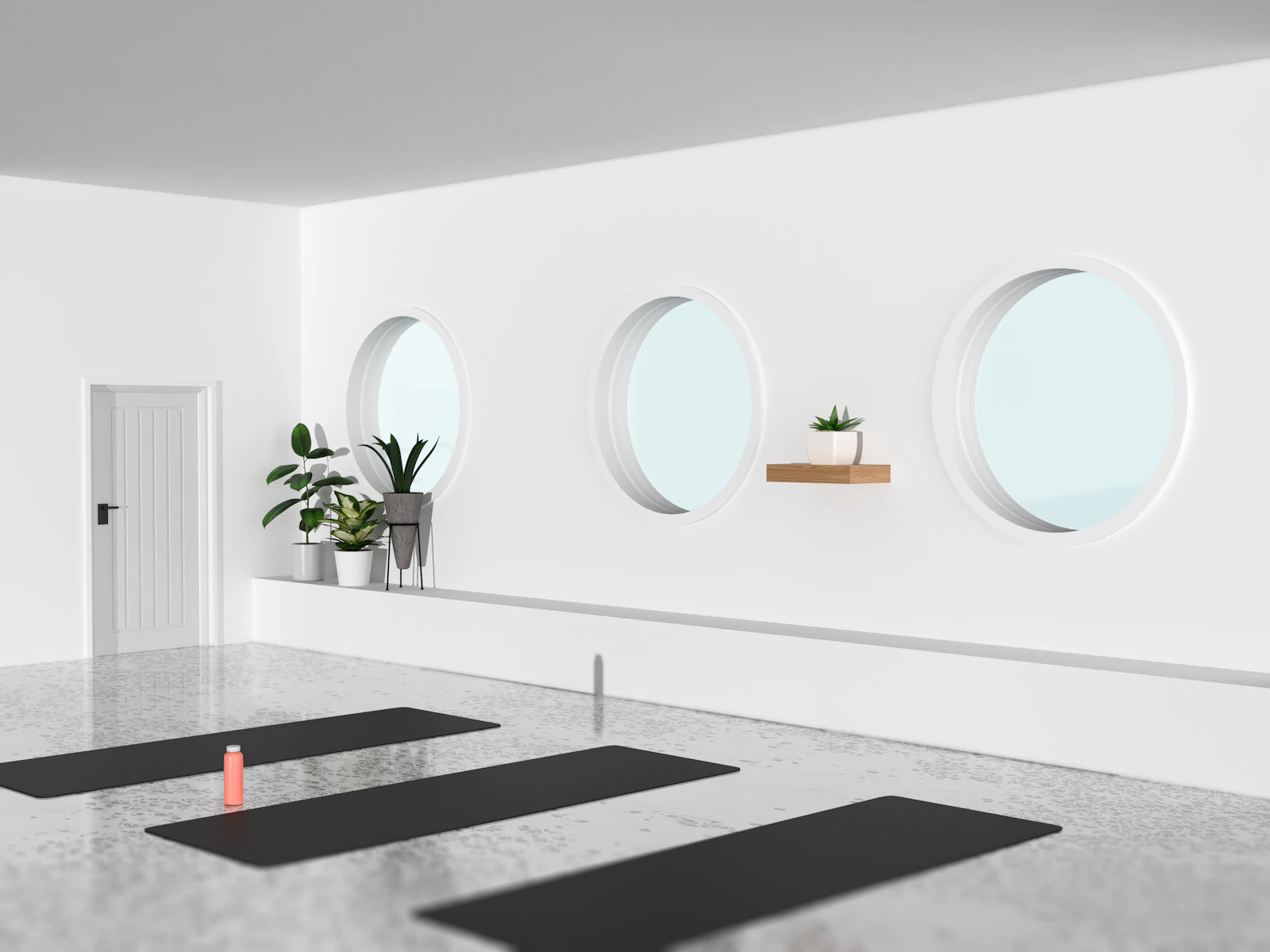 A quiet room with round windows and a potted plant