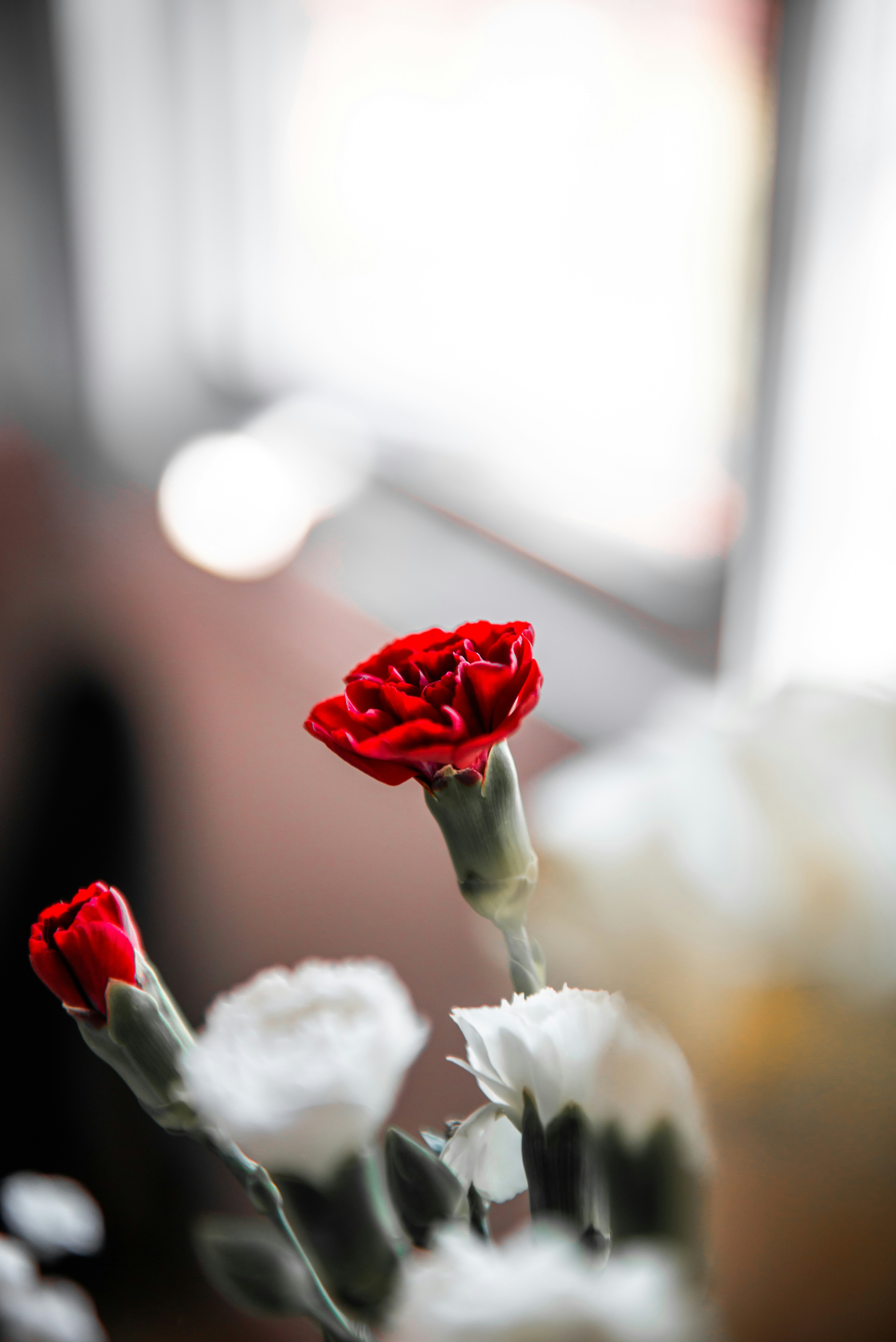 Photo by sadiecoulter