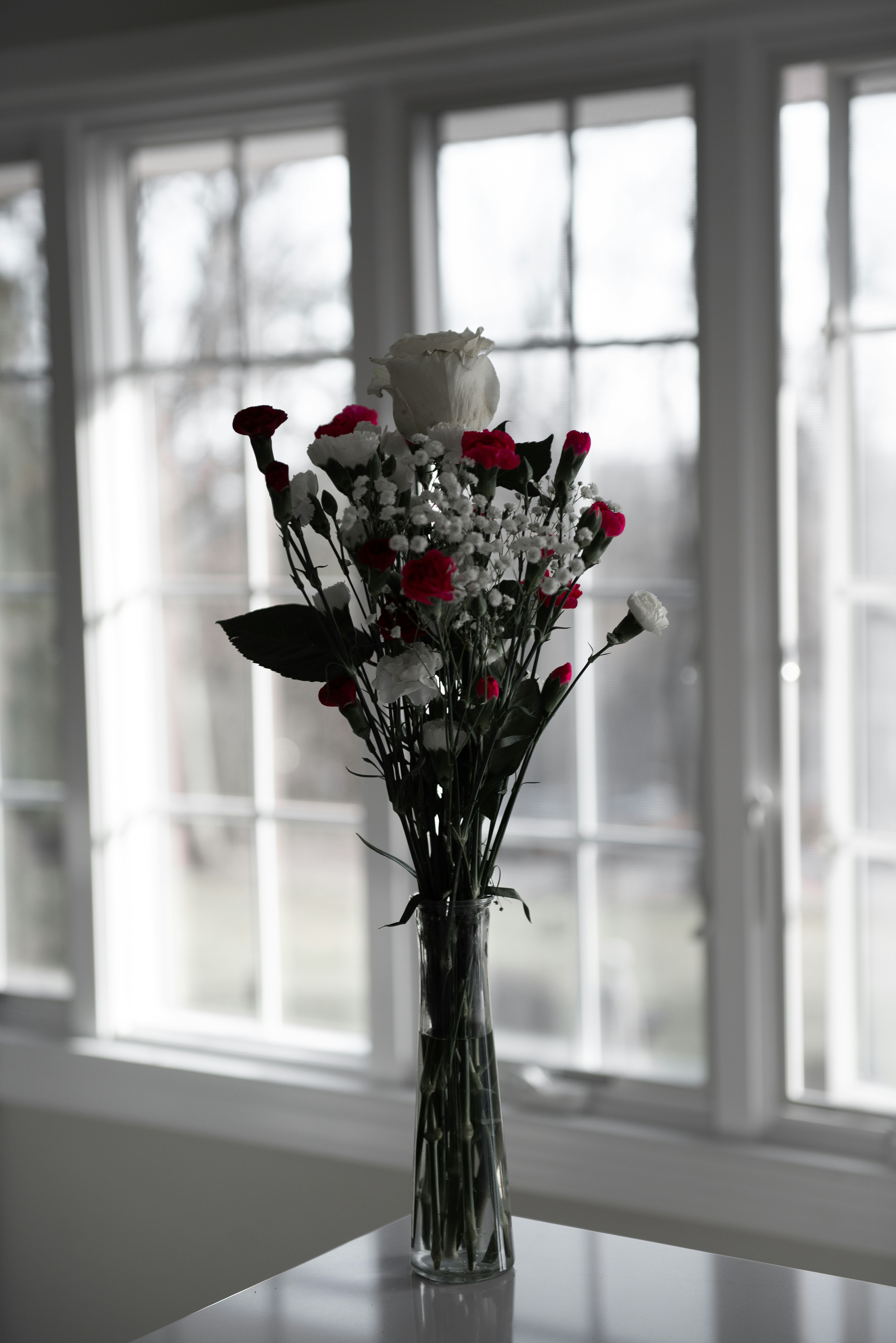 Photo by sadiecoulter