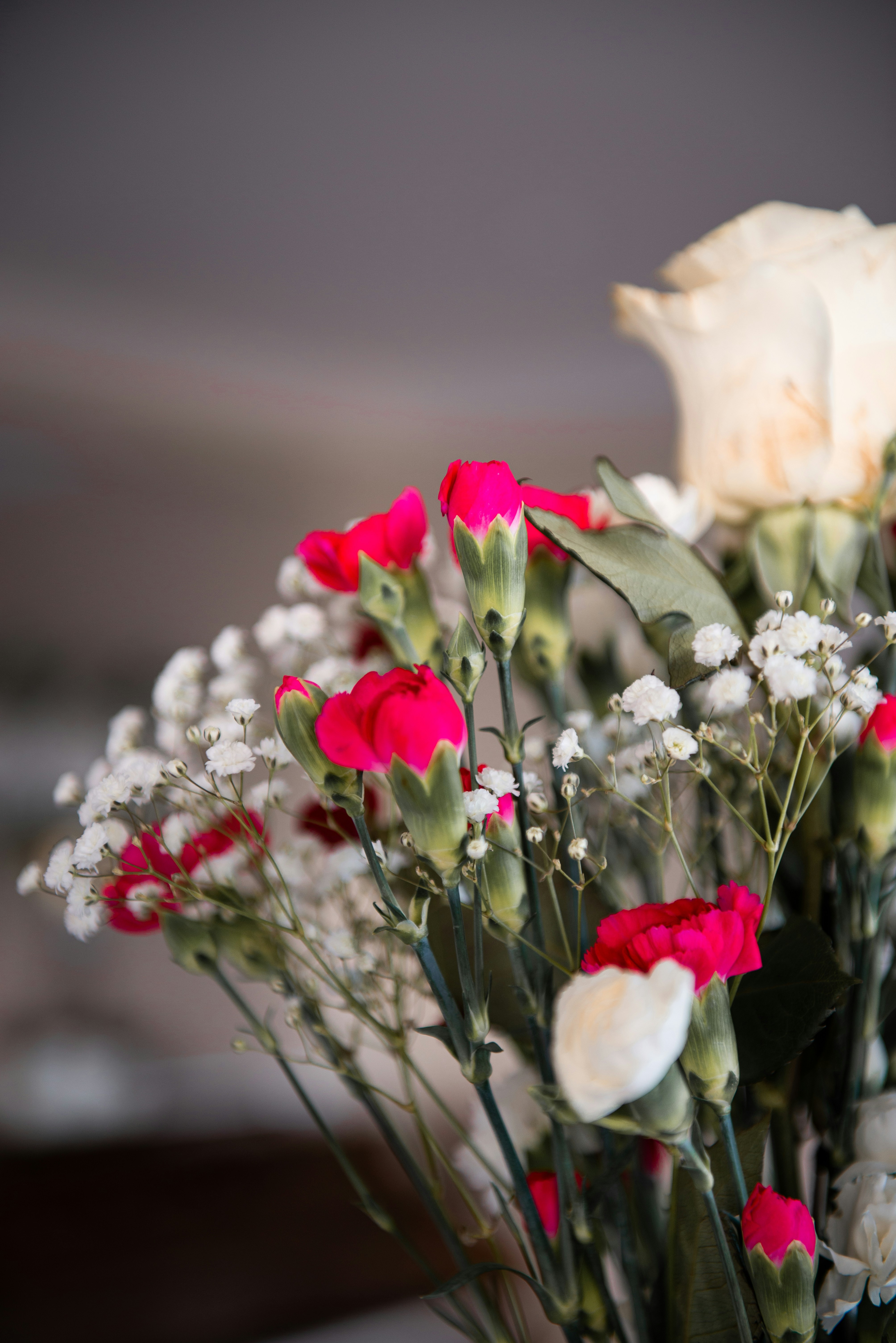 Photo by sadiecoulter