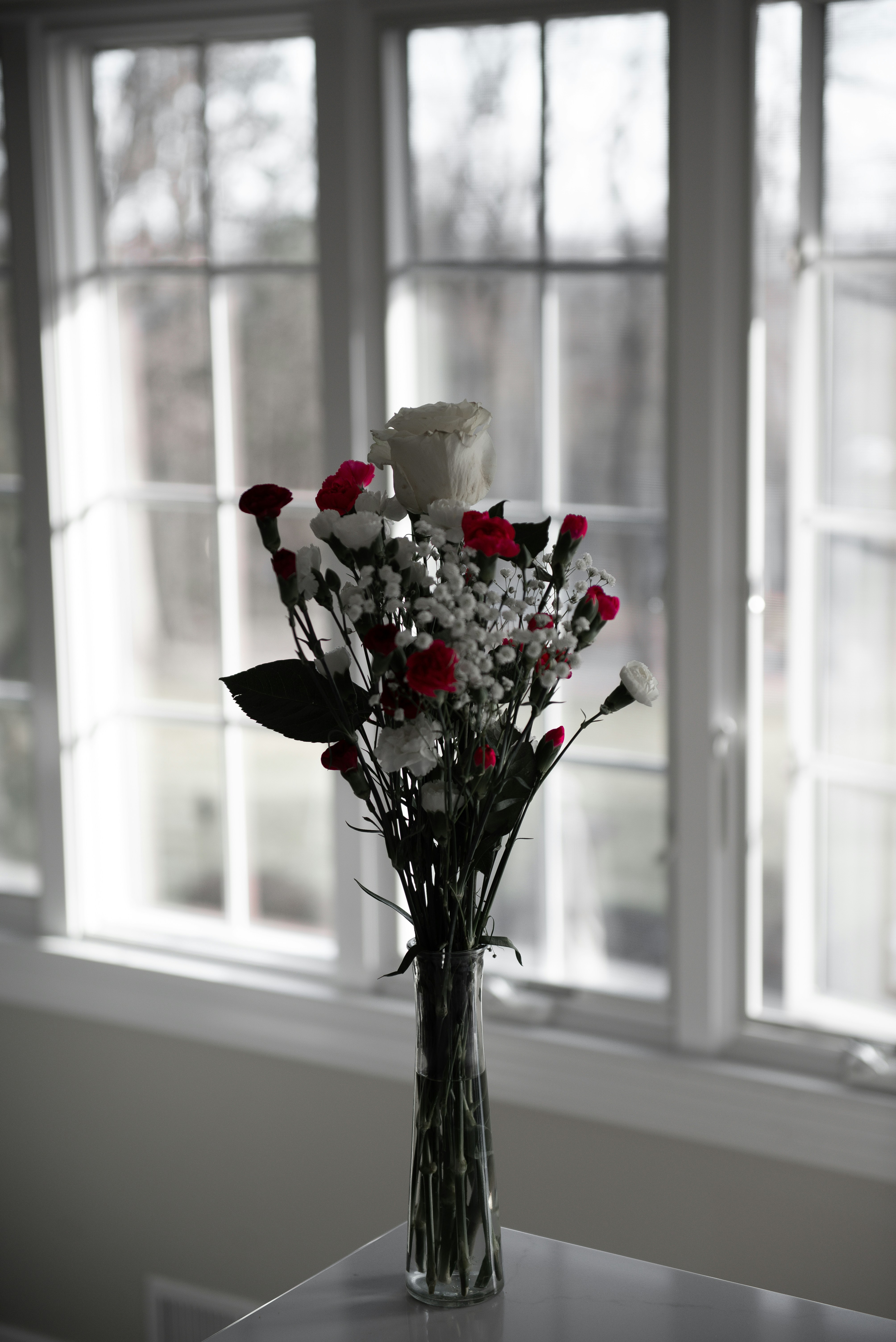 Photo by sadiecoulter