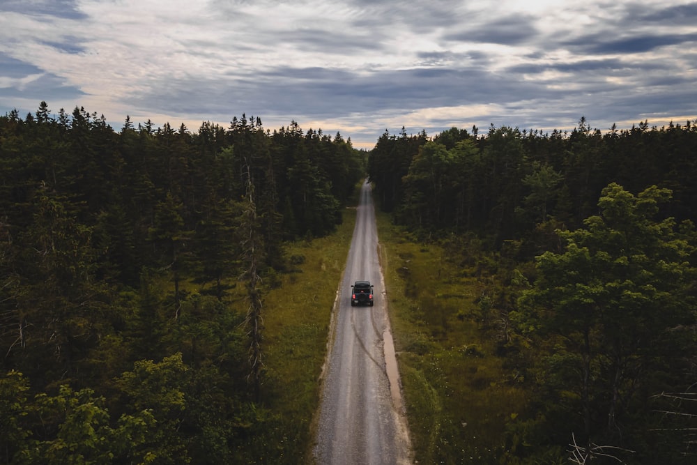 a truck driving down a dirt road in the middle of a forest