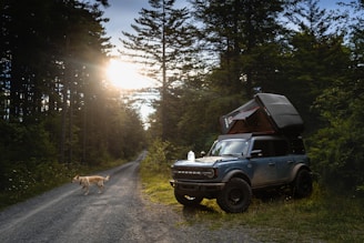 a truck parked on the side of a road next to a dog