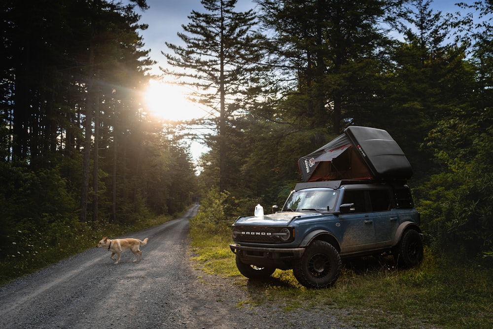 a truck parked on the side of a road next to a dog