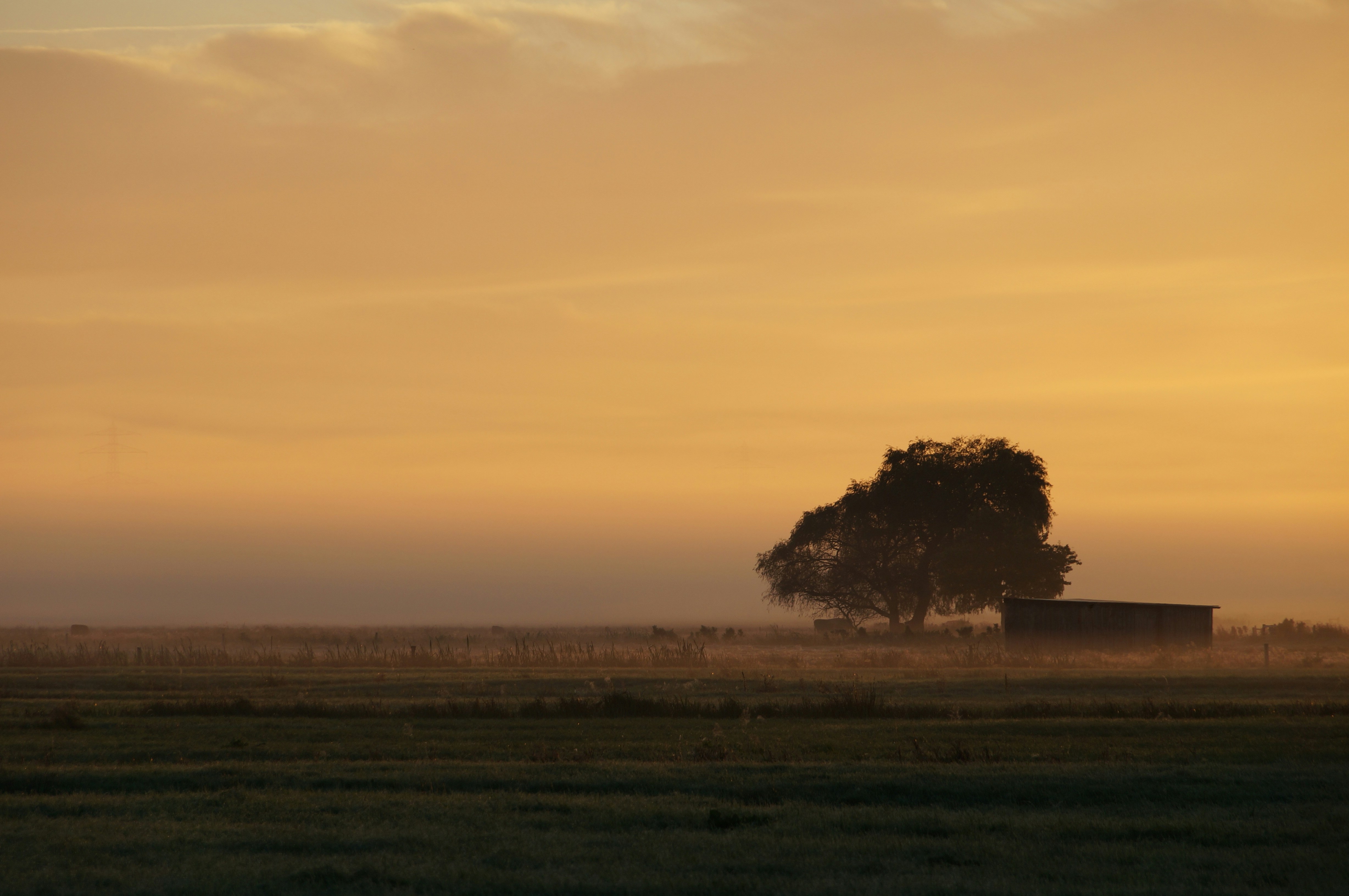 Photo by marlomaurer