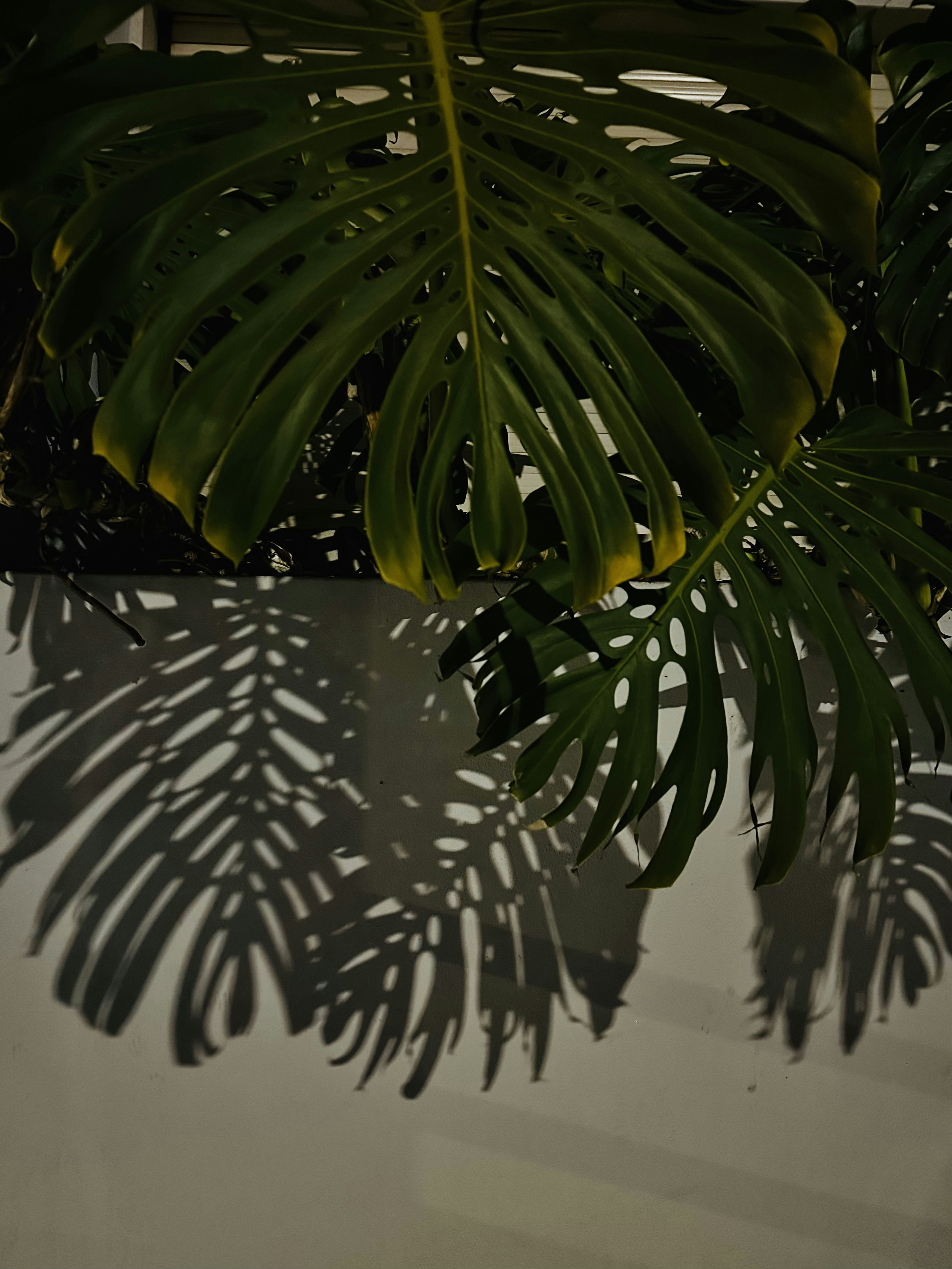 Photo by mariakostory