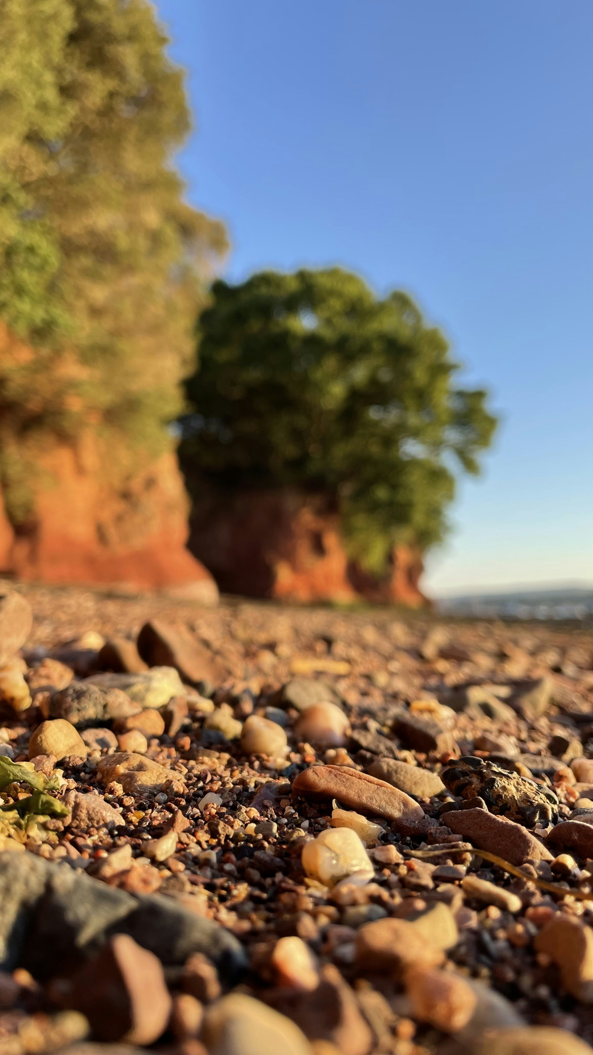 Rocks and gravel on a beach with trees in the background photo – Free ...