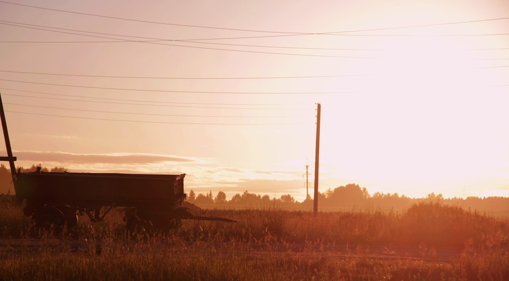 a horse drawn carriage in a field at sunset