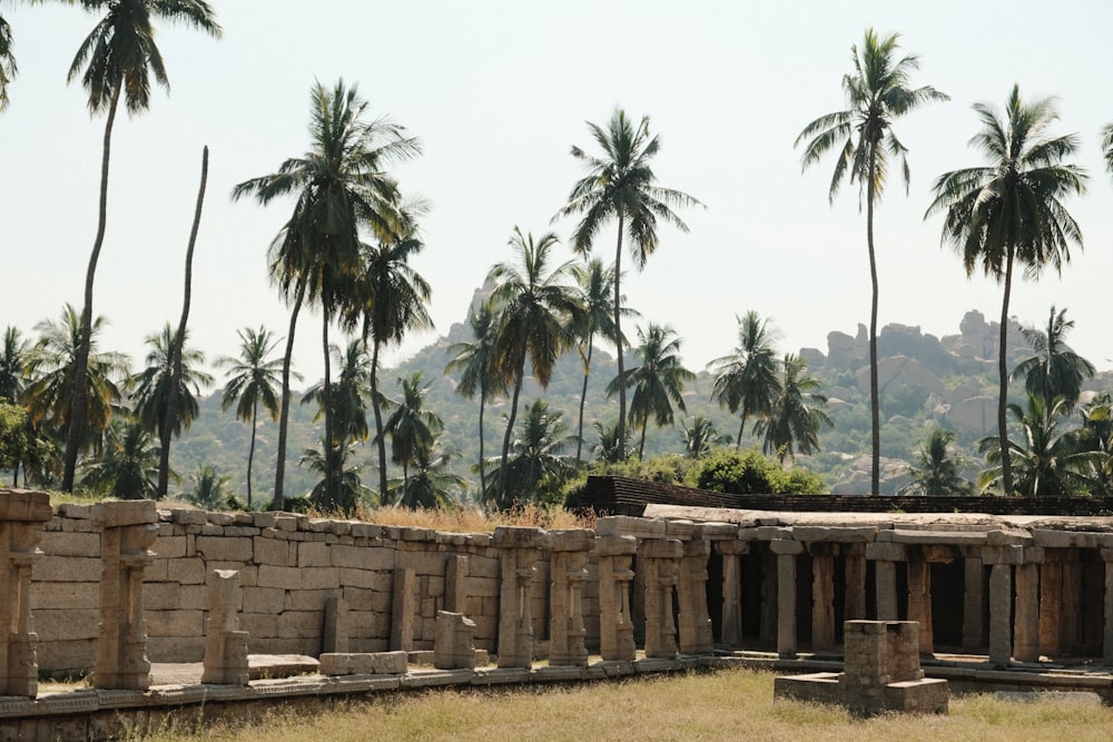 the ruins of a building with palm trees in the background