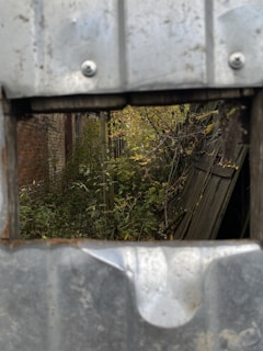 View of a neglected backyard with broken fence and scattered debris.