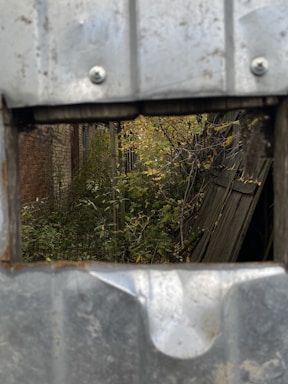 View of a neglected backyard with broken fence and scattered debris.