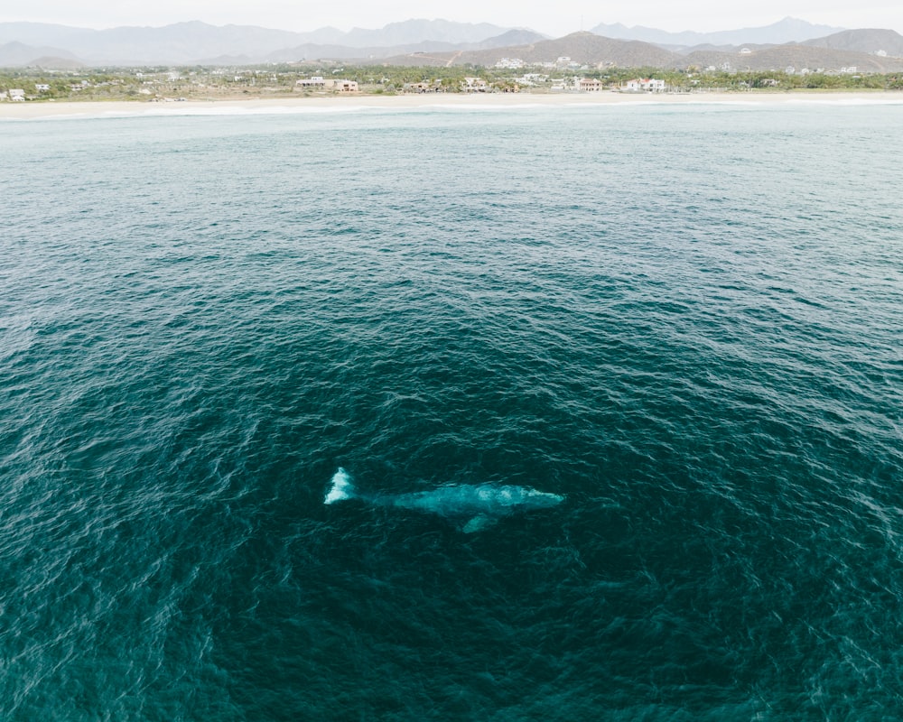 a large body of water with a small boat in the middle of it