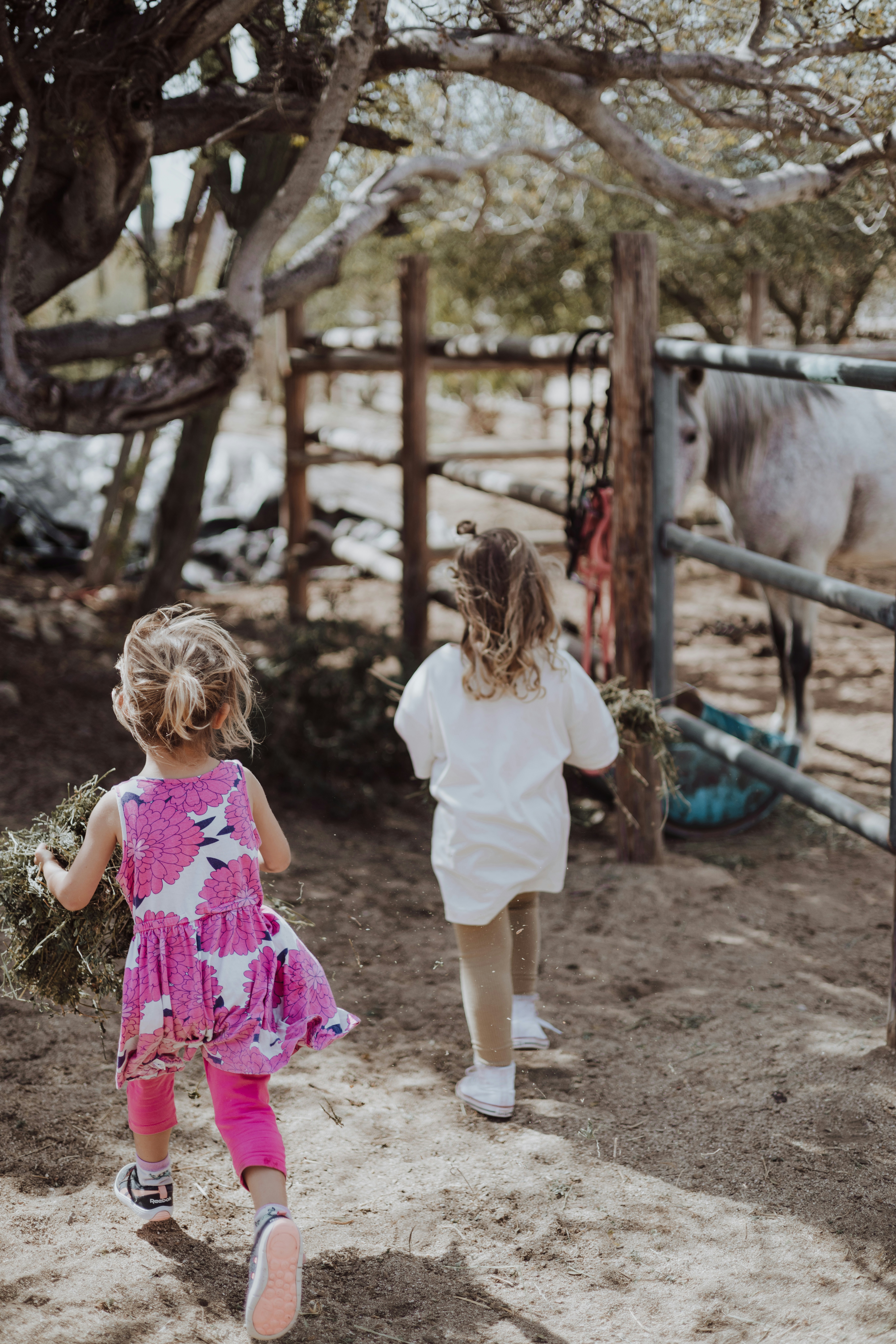 Photo by joshwithers