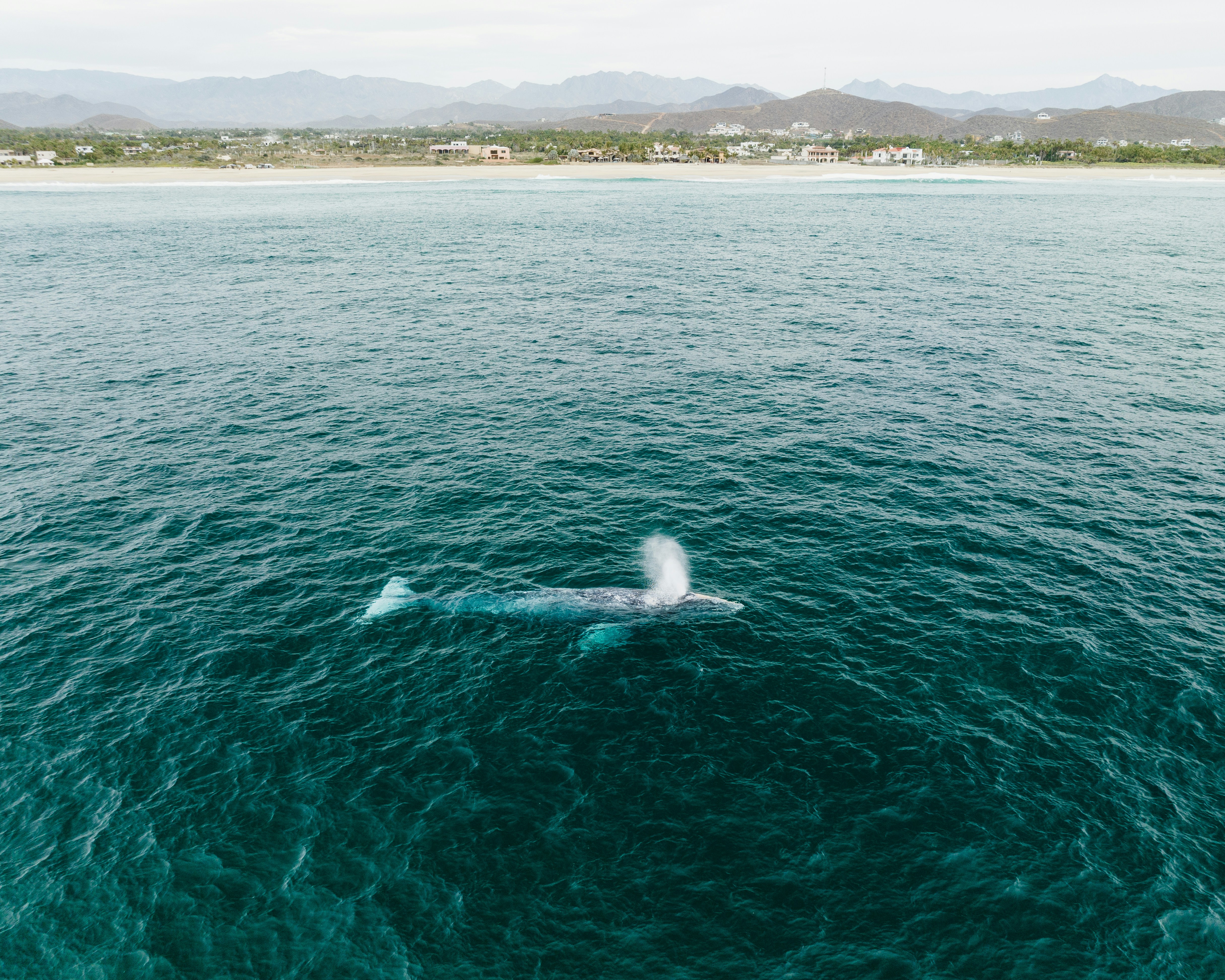 Photo by joshwithers