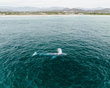 a large body of water with a small boat in the middle of it