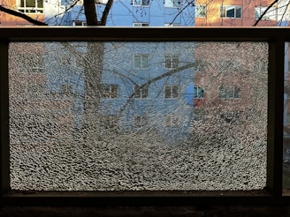 A shattered glass pane is framed by a black metal border, reflecting a fragmented image of a residential building with blue and pink sections. Bare tree branches are visible against the window, creating a textured overlay.