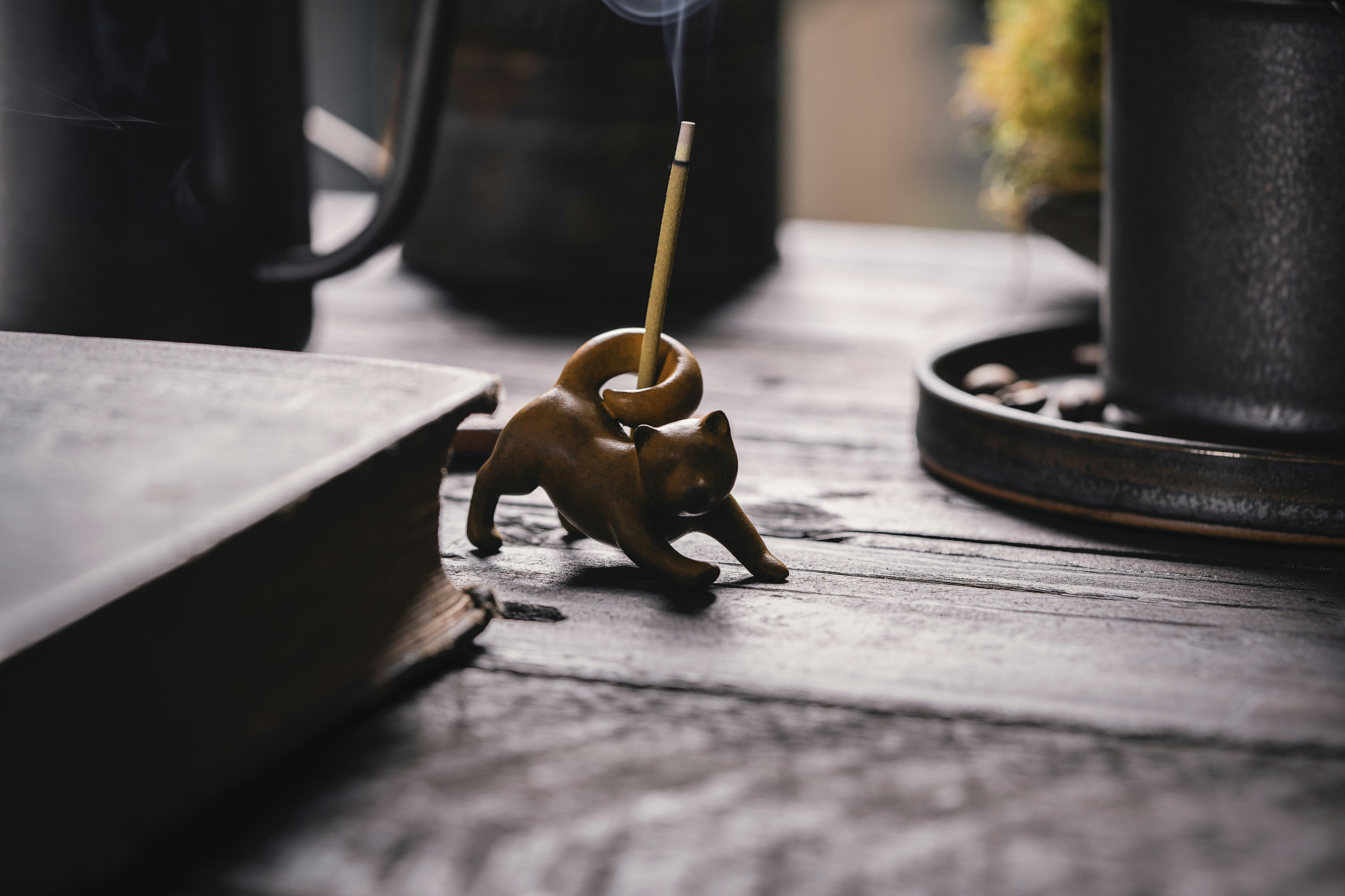 Photo by coppertistwu