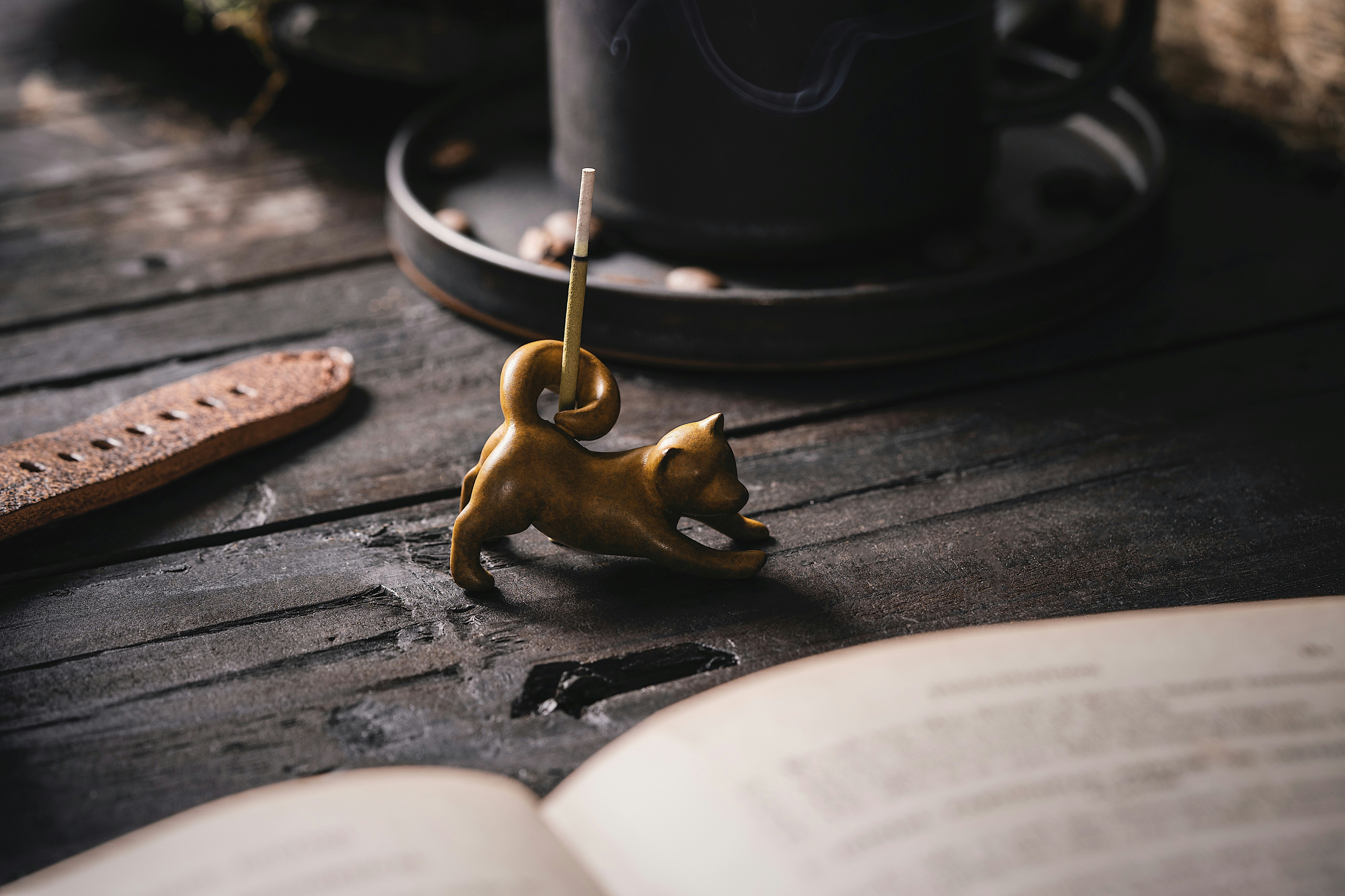 Photo by coppertistwu