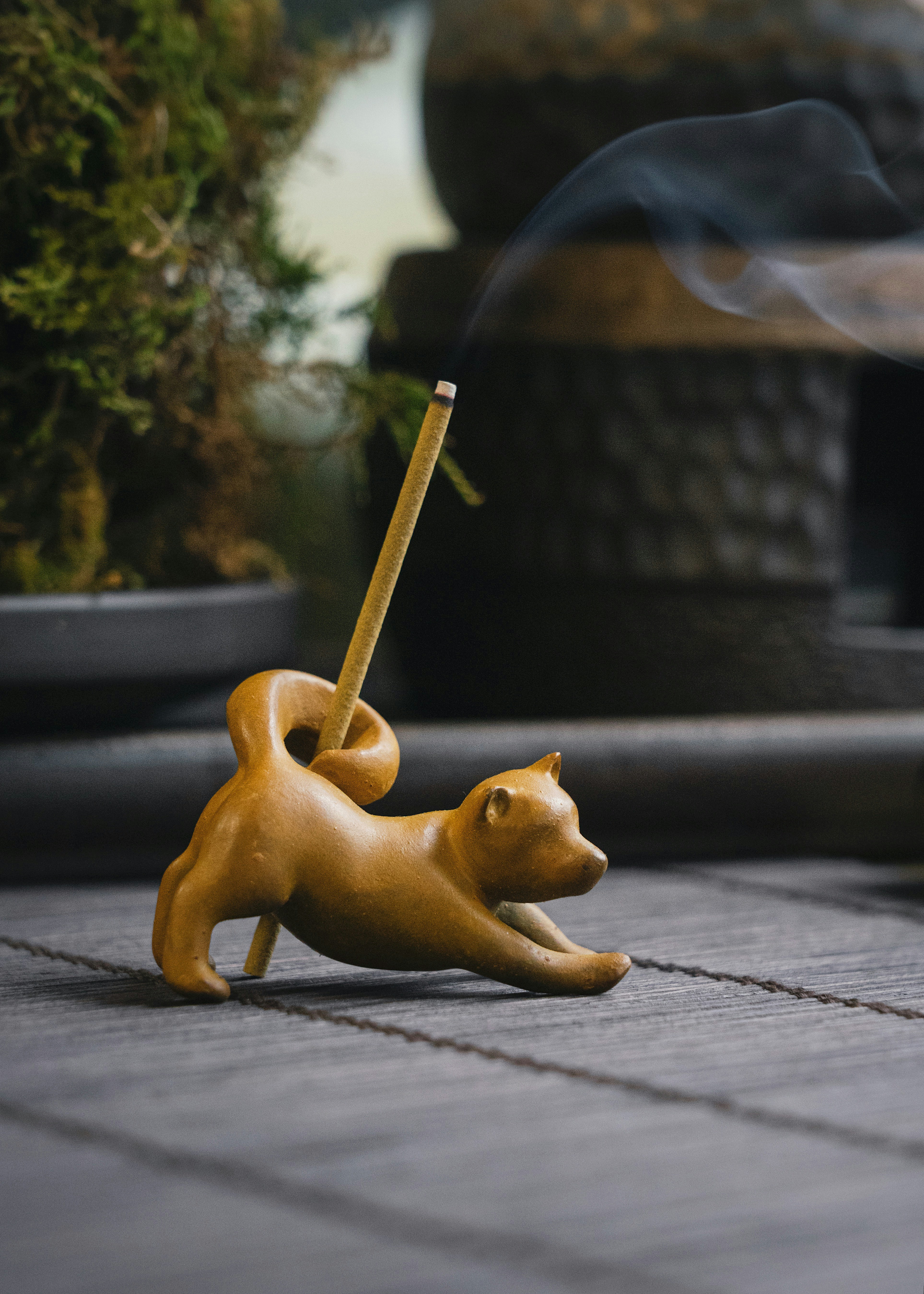 Photo by coppertistwu