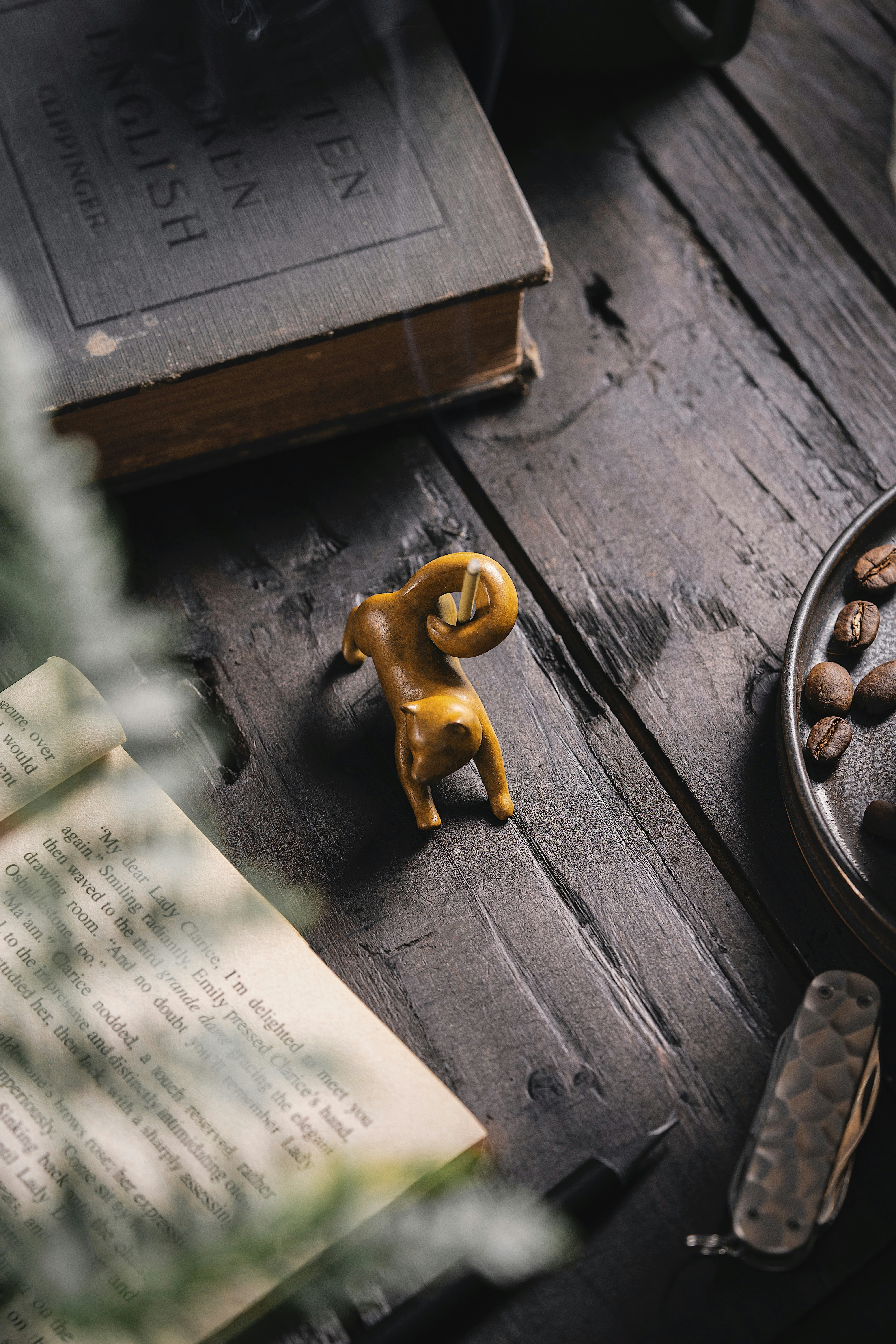 Photo by coppertistwu