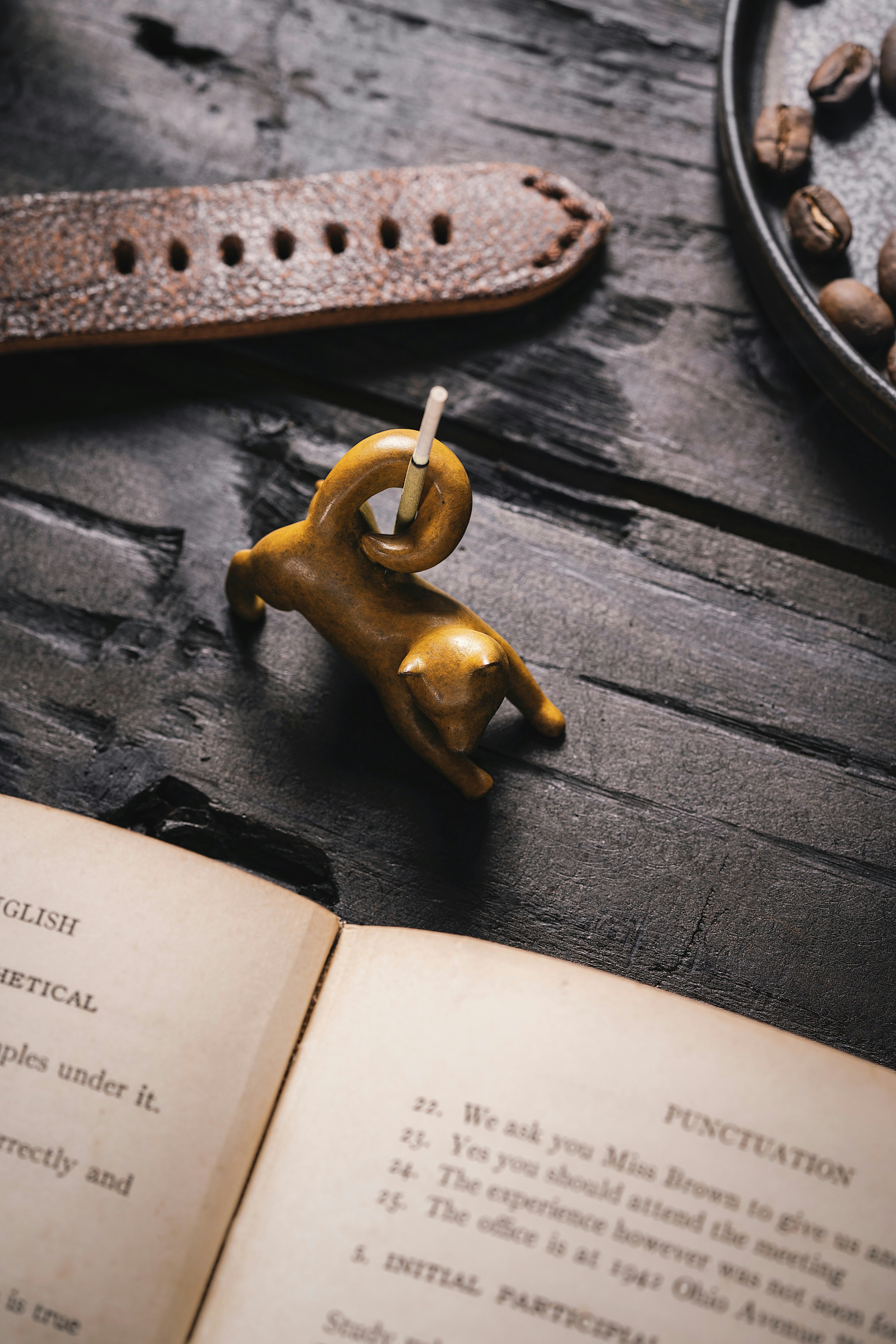 Photo by coppertistwu