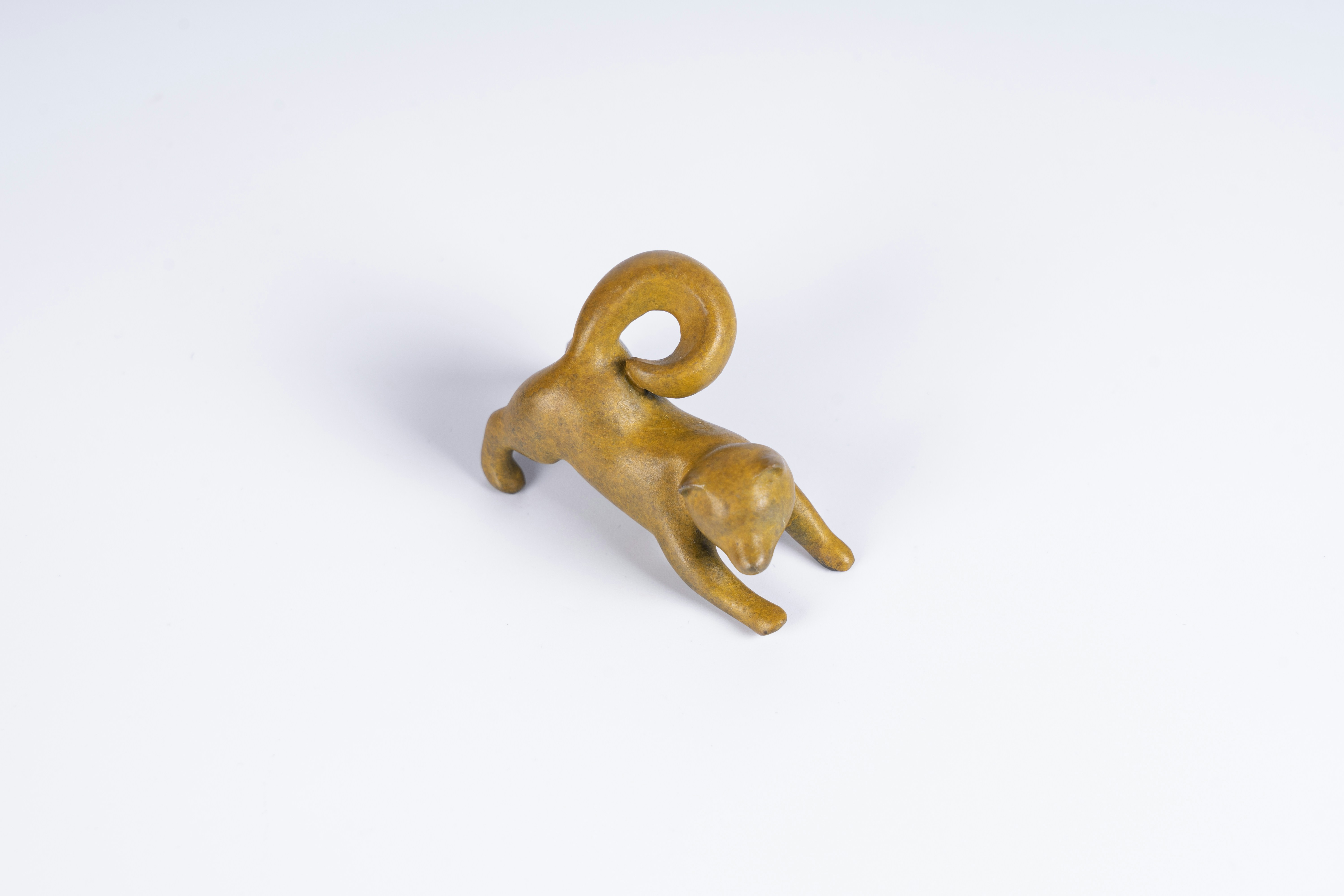 Photo by coppertistwu