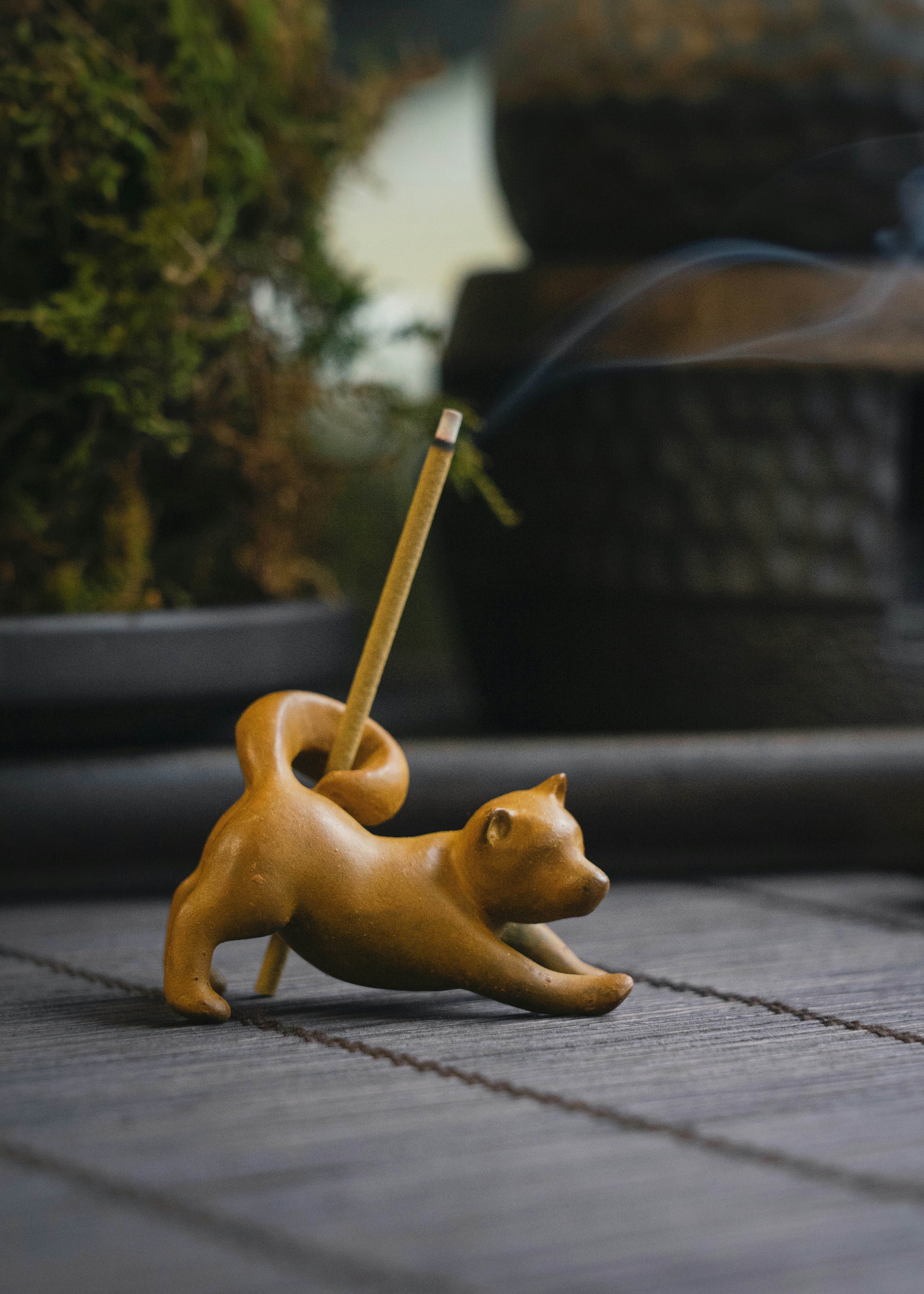 Photo by coppertistwu