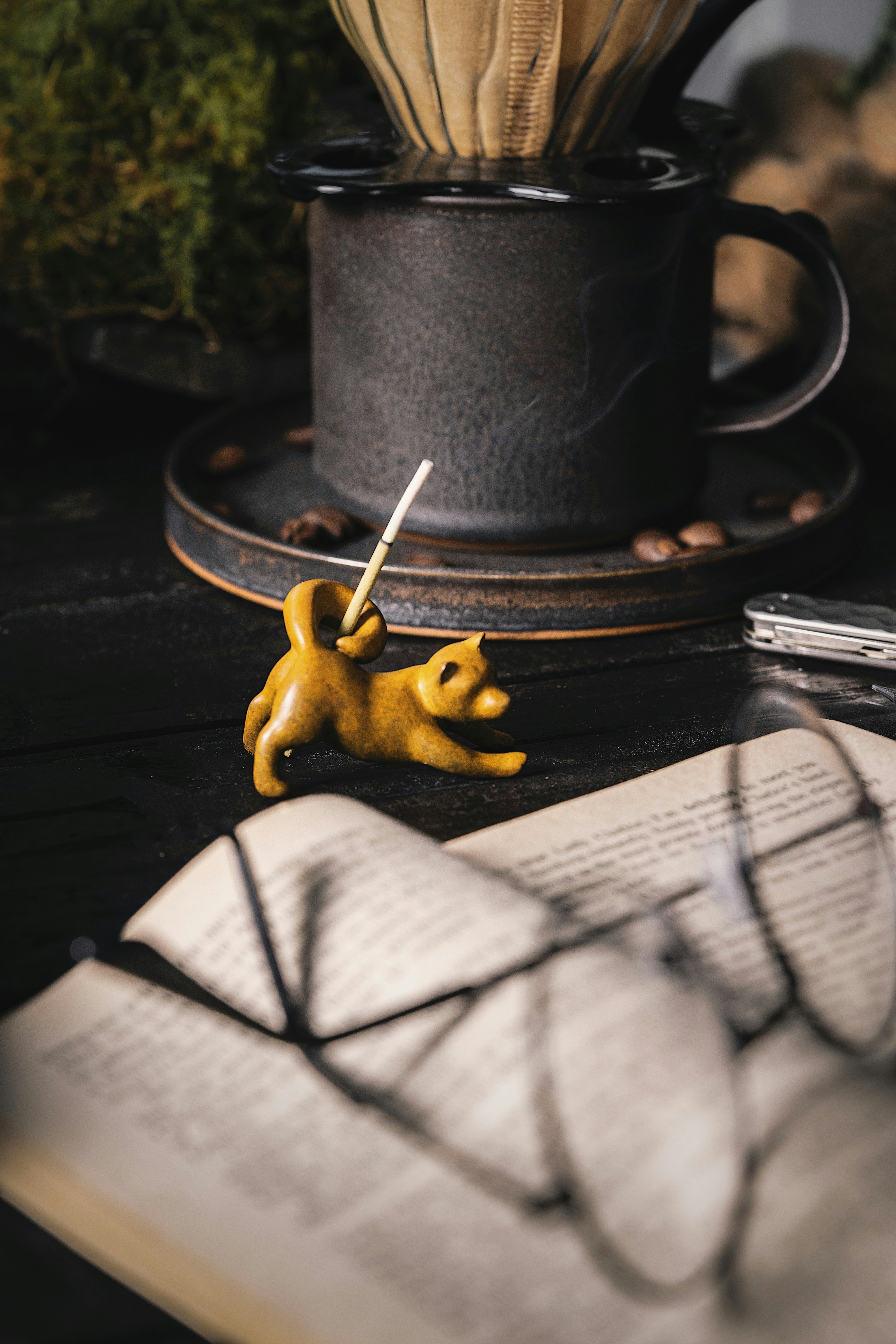 Photo by coppertistwu