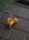 A small ceramic incense holder shaped like a playful cat is placed on a bamboo mat. The cat is stretching, holding up an incense stick that is gently burning, creating a soft trail of smoke.