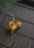 A small ceramic incense holder shaped like a playful cat is placed on a bamboo mat. The cat is stretching, holding up an incense stick that is gently burning, creating a soft trail of smoke.